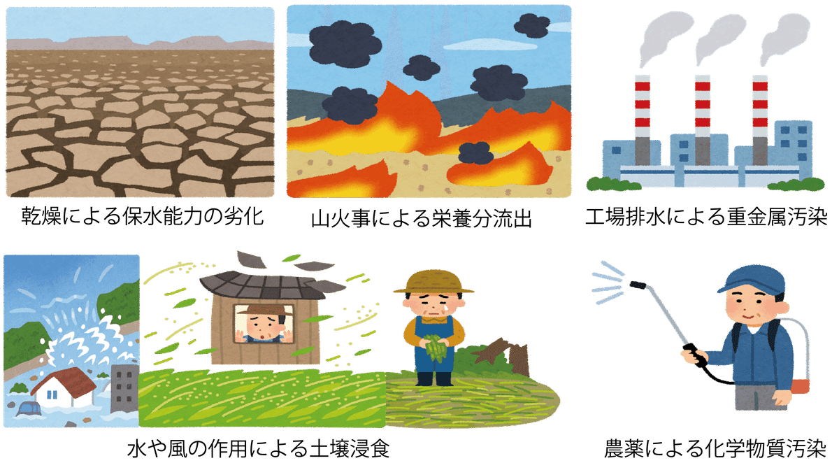 6.3. 環境と土壌｜ワッキー教授