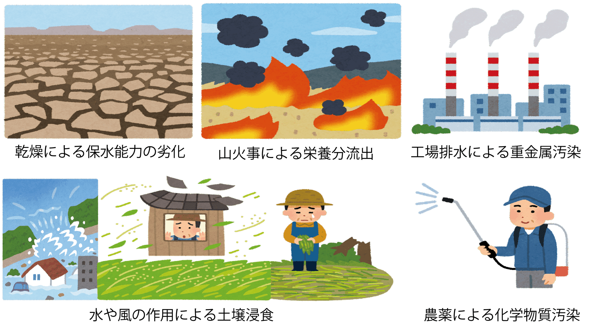 6 3 環境と土壌 ワッキー教授 Note 6 3 環境と土壌 ワッキー教授 Note