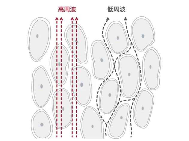 artleaf 体脂肪計 BIA技術 artleaf 体脂肪計 BIA技術 Amazon.co.jp: 新