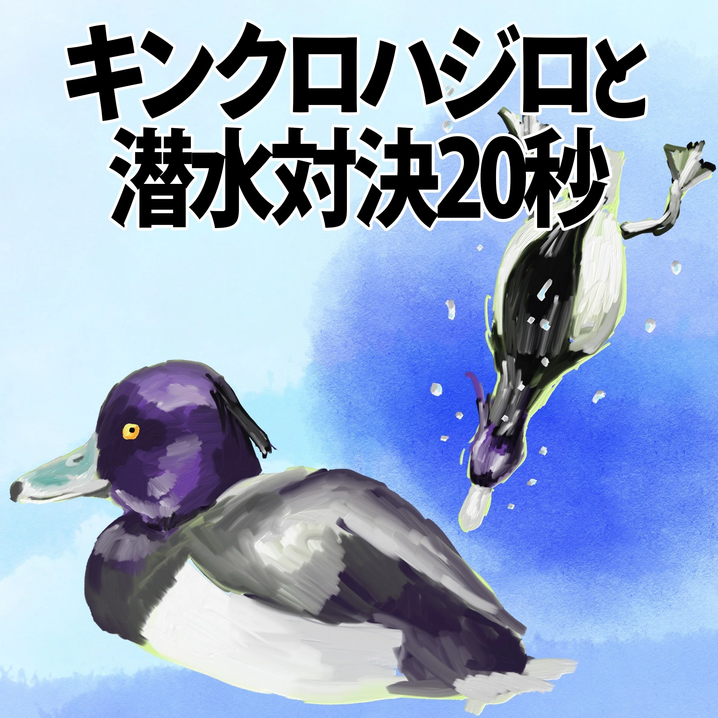 キンクロハジロと潜水対決20秒！｜くますけ｜自然ガイド・クリエイター