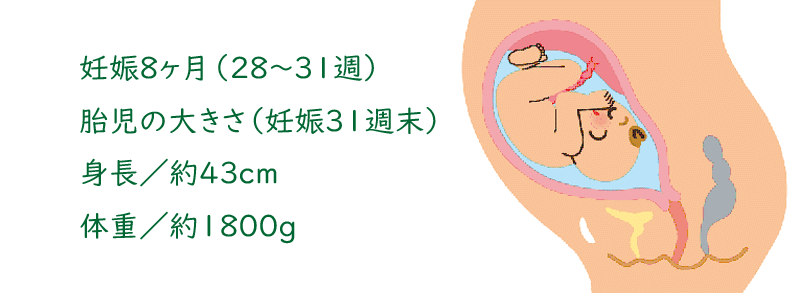 Bn3iilg6hgexqm