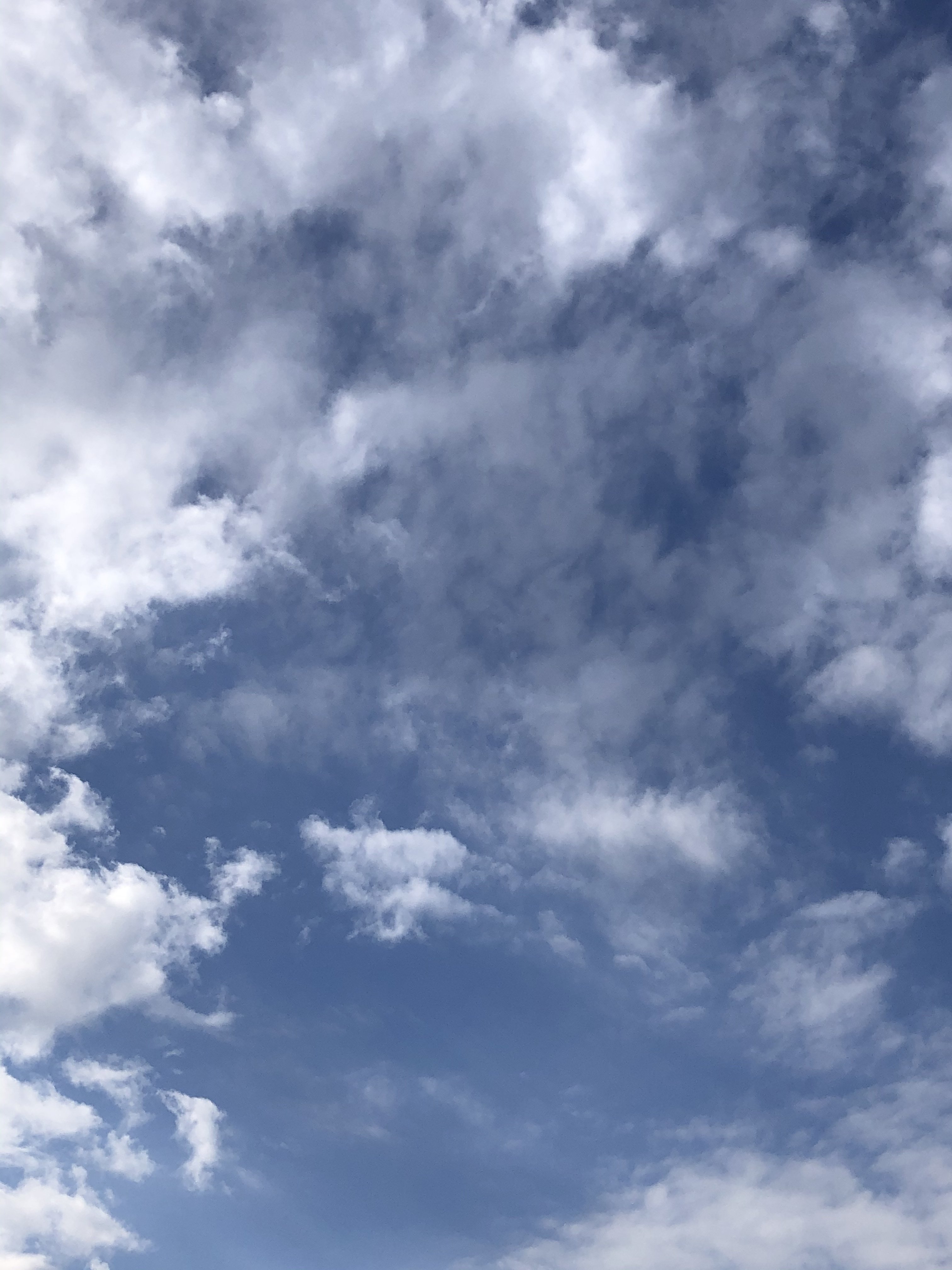 今日の一枚|どらさん