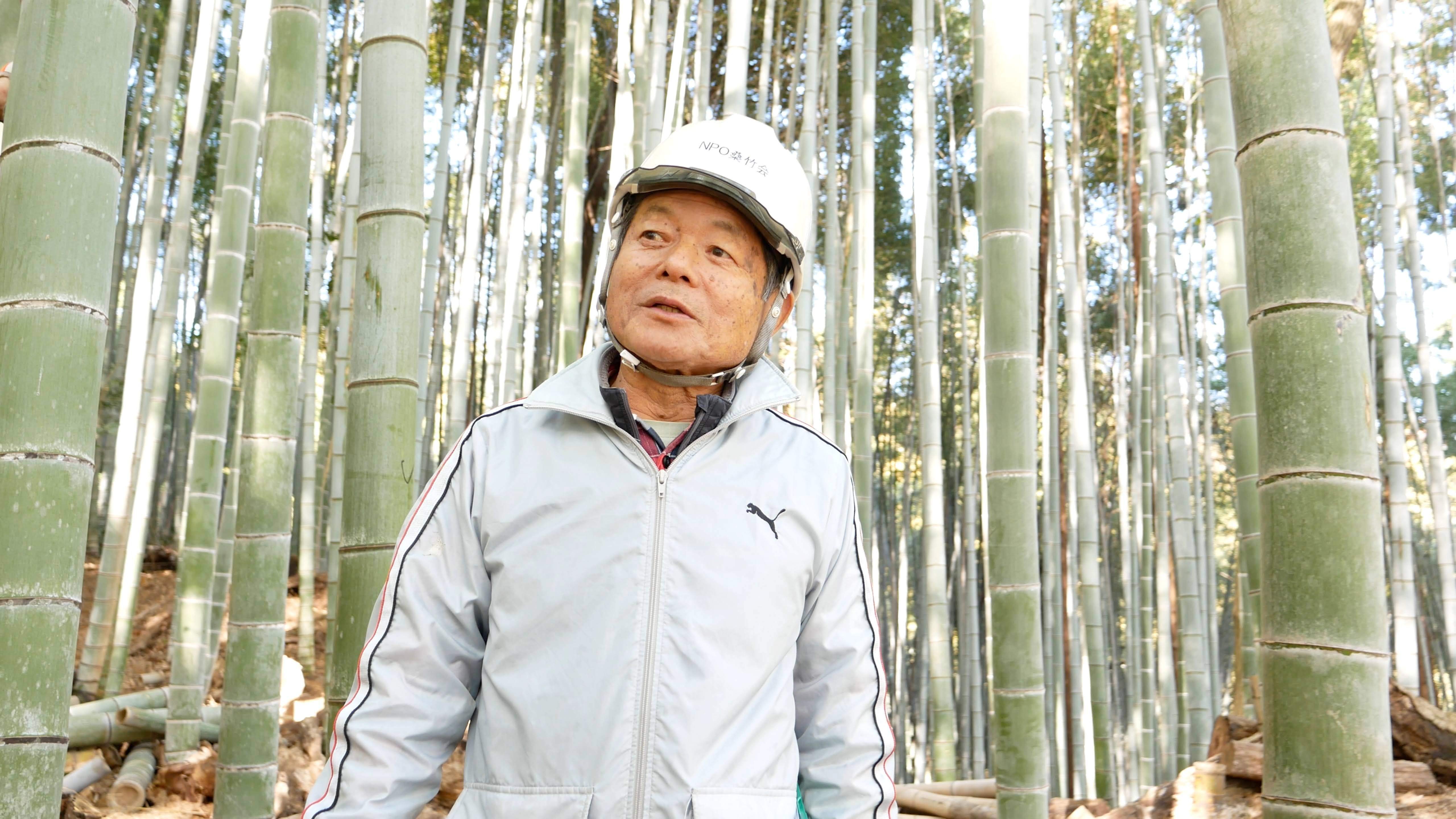 かぐや姫が微笑えむような竹林に！地元の学生が放置竹林で整備のお手伝い｜カボニューレコード