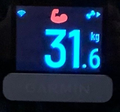 Garmin Index S2 体重計 Garminのスマート体重計Index S2を買いました[インプレ] | Cyclepot