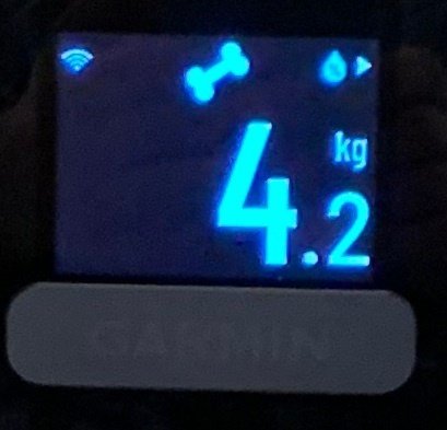 Index S2は最高の体重計#2 ～Garmin Index S2 使ってみた～｜壱百粁走男