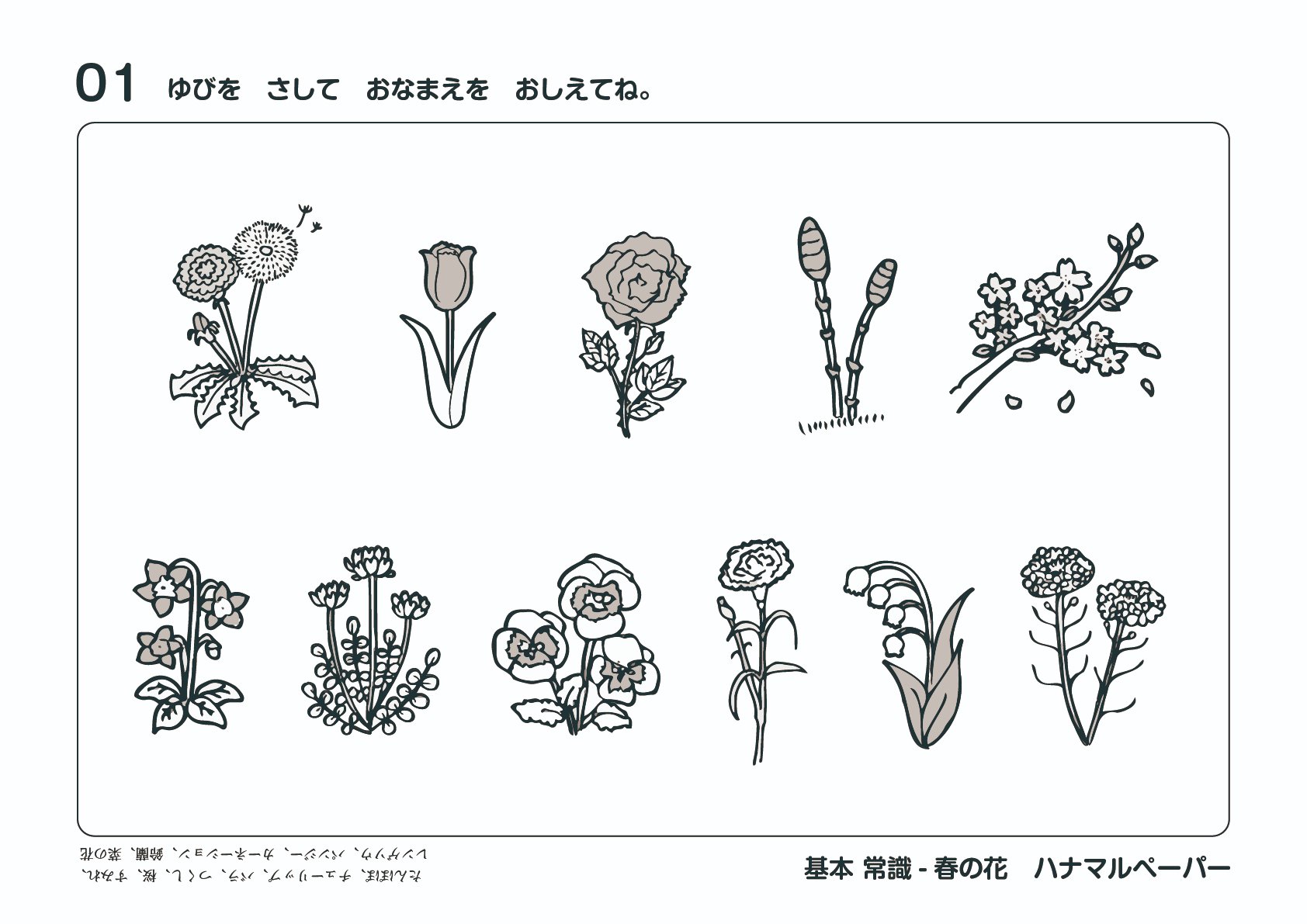 基本】常識 春のお花 ペーパー（5枚）｜小学校お受験プリント
