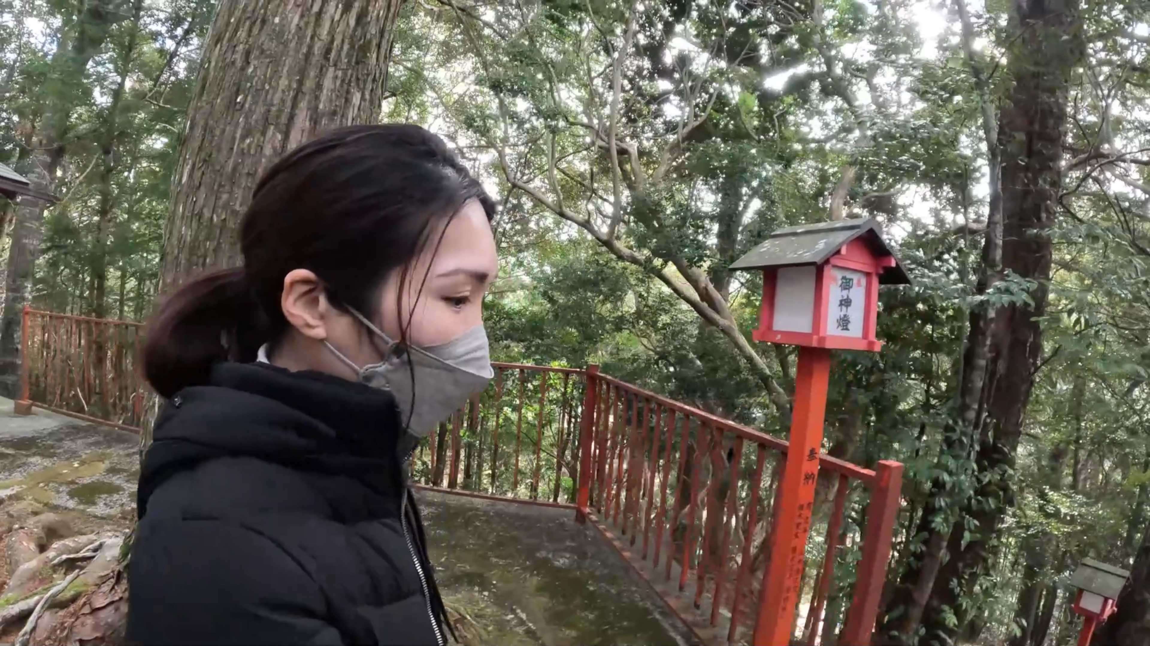 山採り榊ができるまで 和歌山県 すさみ町 前田さん｜あらかし時雨