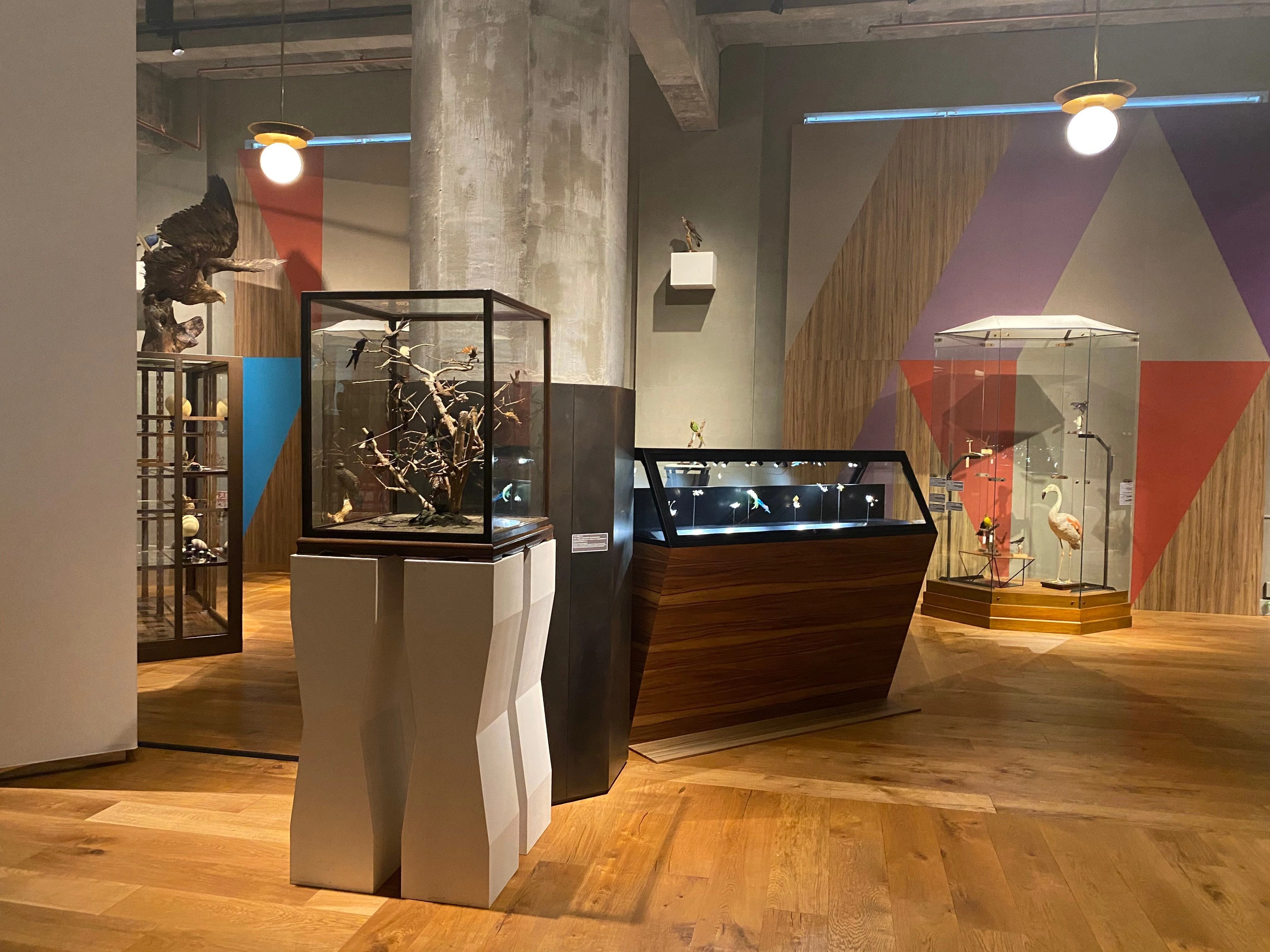 インターメディアテク開館十周年記念特別展示『極楽鳥』｜Lulu's Cabinet