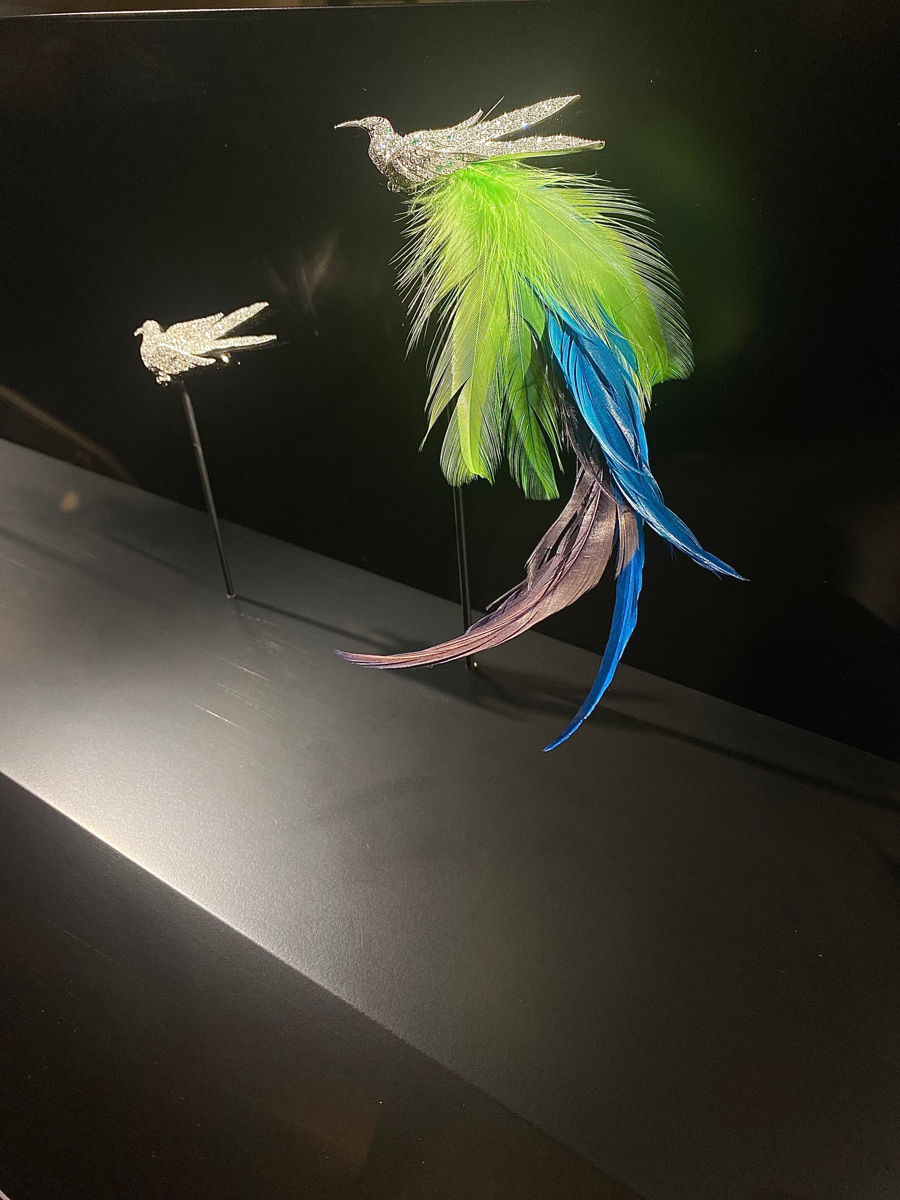 インターメディアテク開館十周年記念特別展示『極楽鳥』｜Lulu's Cabinet