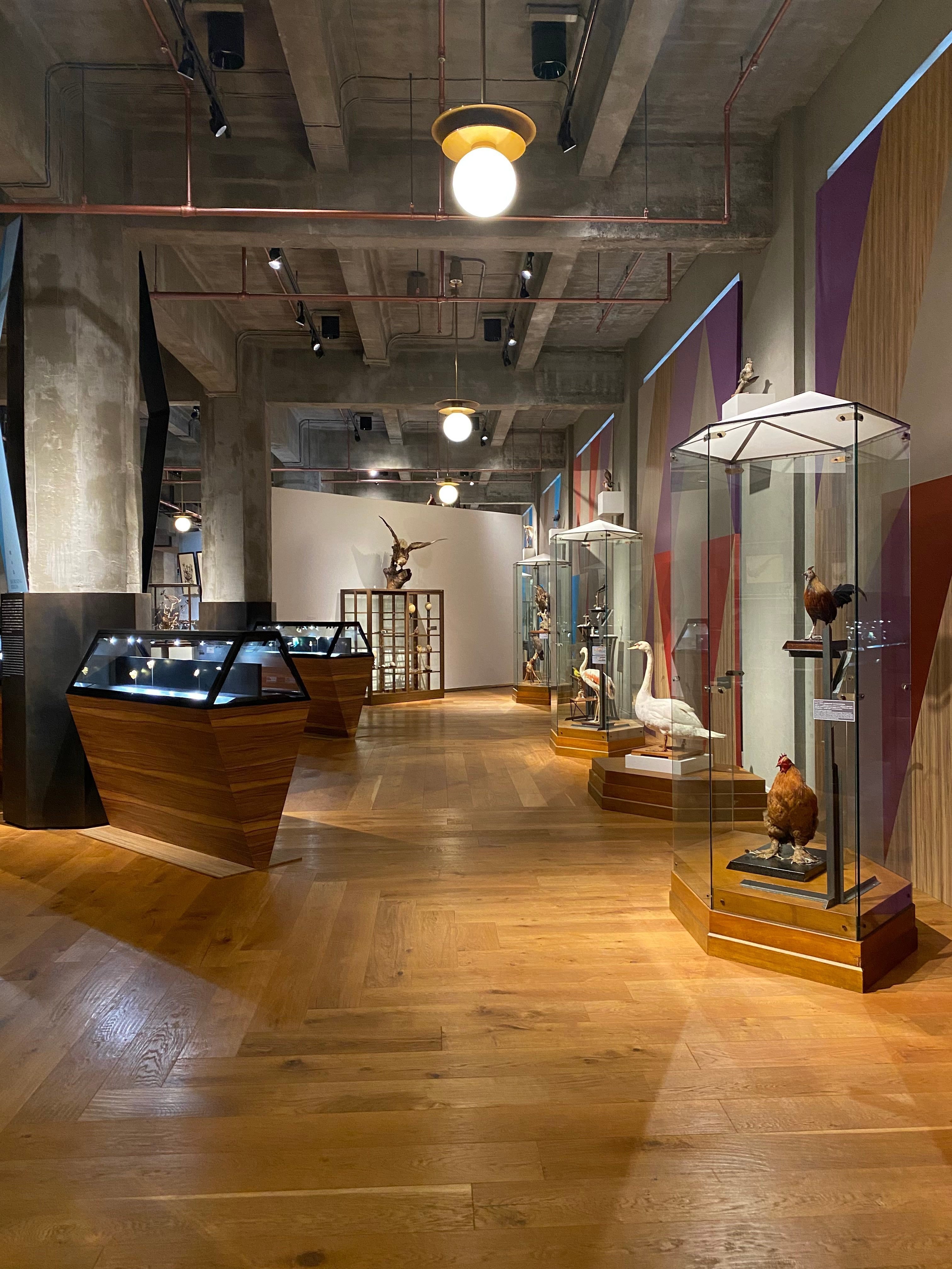 インターメディアテク開館十周年記念特別展示『極楽鳥』｜Lulu's Cabinet