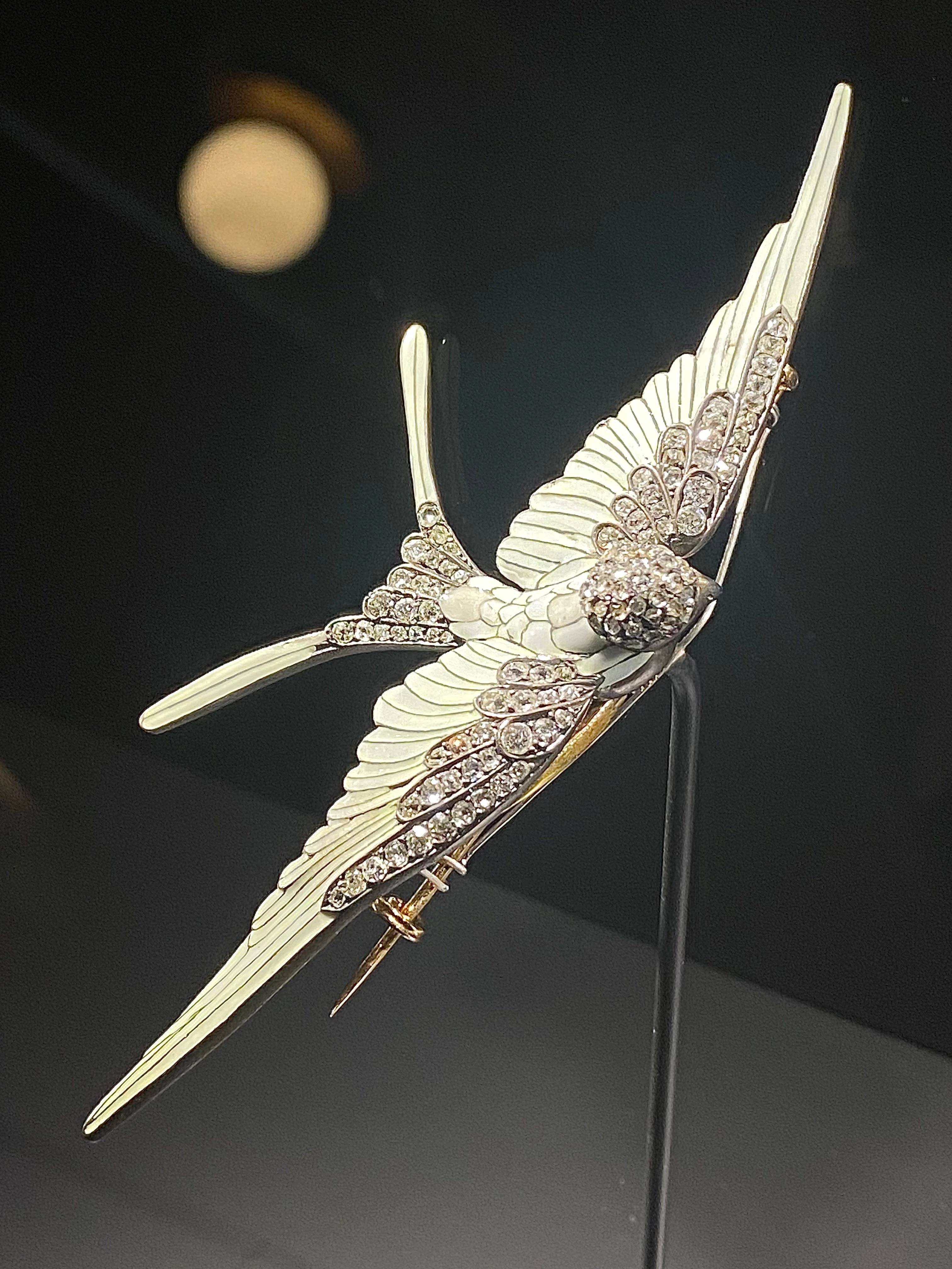 インターメディアテク開館十周年記念特別展示『極楽鳥』｜Lulu's Cabinet