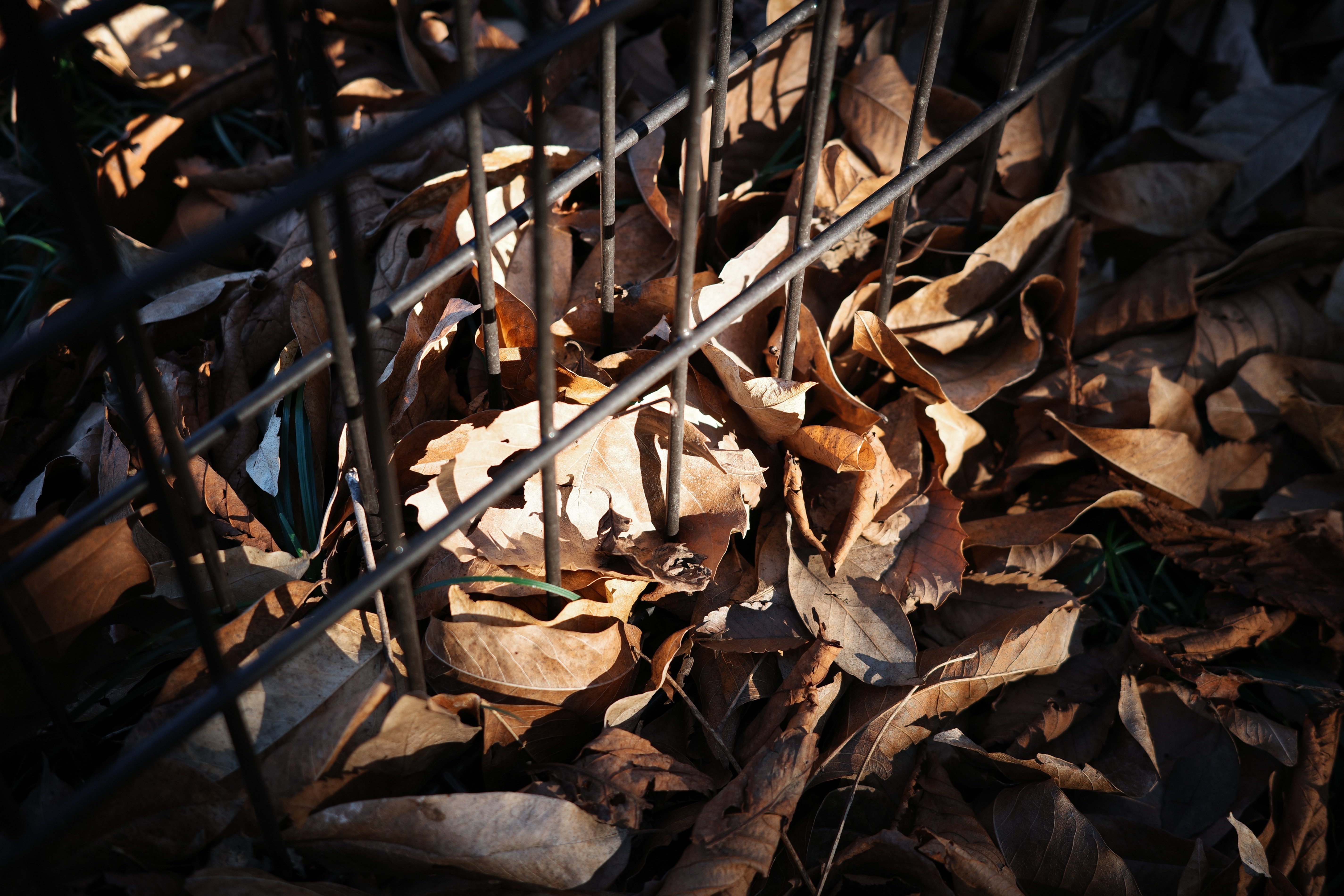 撮って出し｜mindless