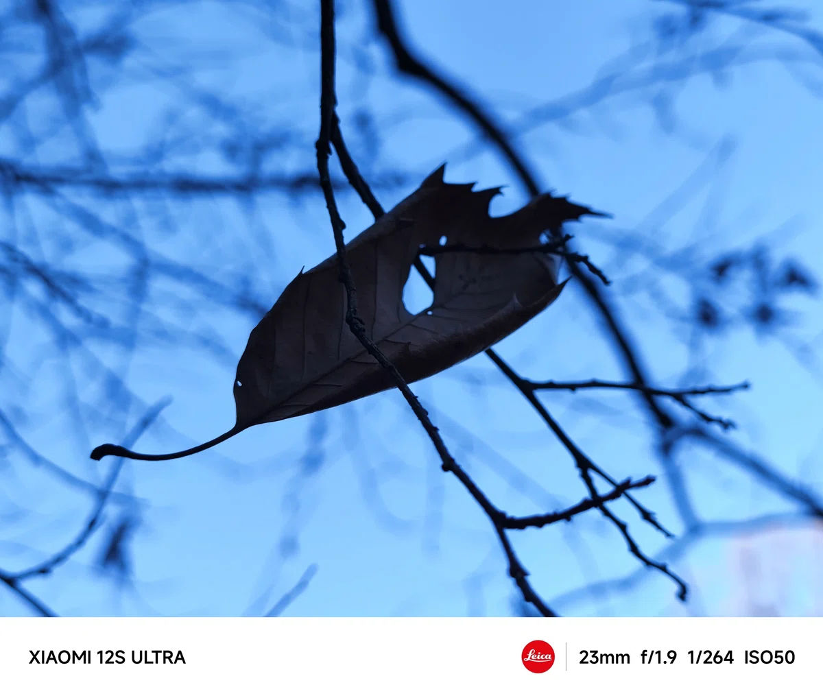 [Long-term Review] Final Review of the Xiaomi 12S Ultra after Six ...