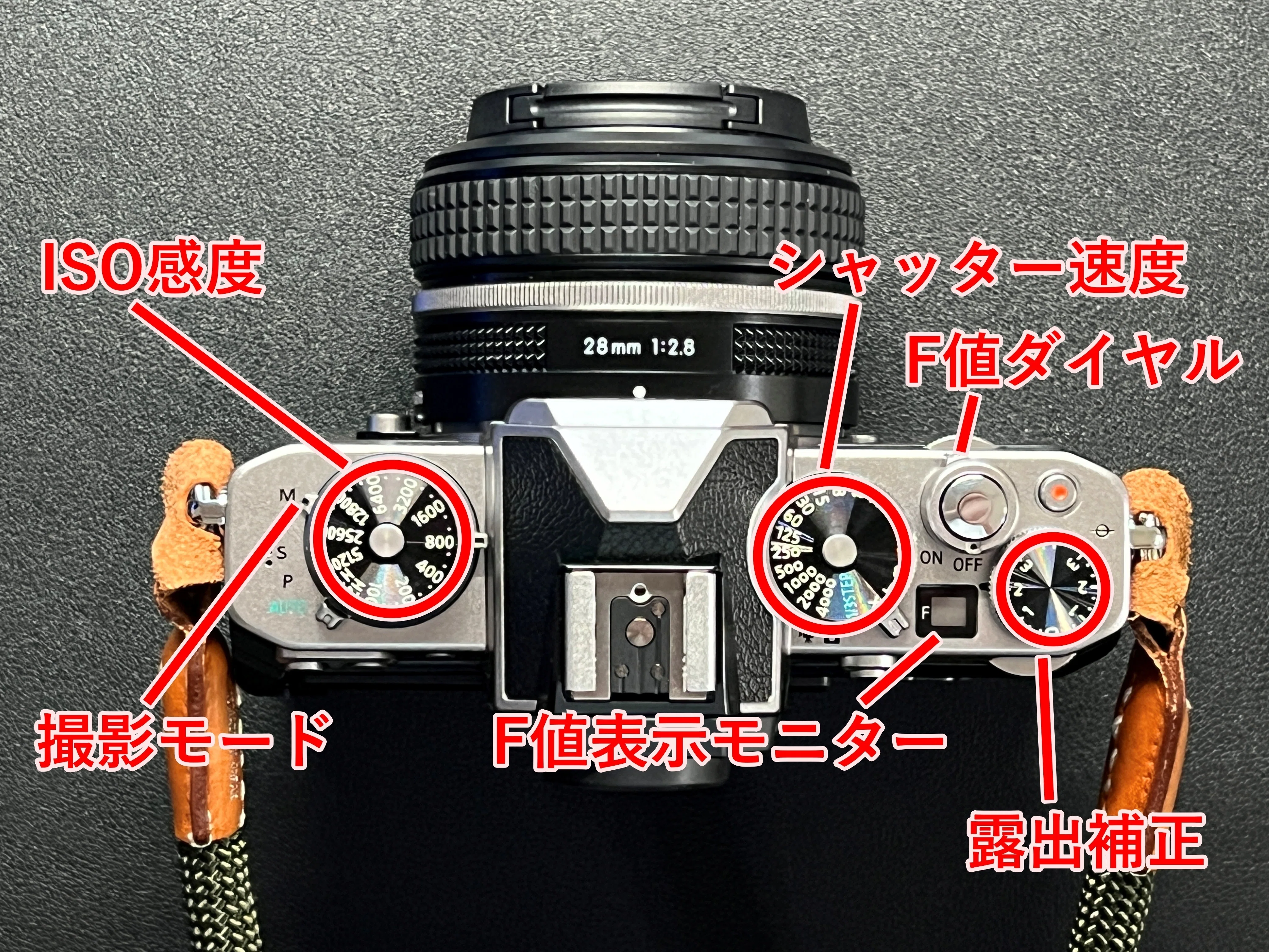 Nikon Z fc】カメラ生活に10年かけてきた私がたどり着いた最高の旅