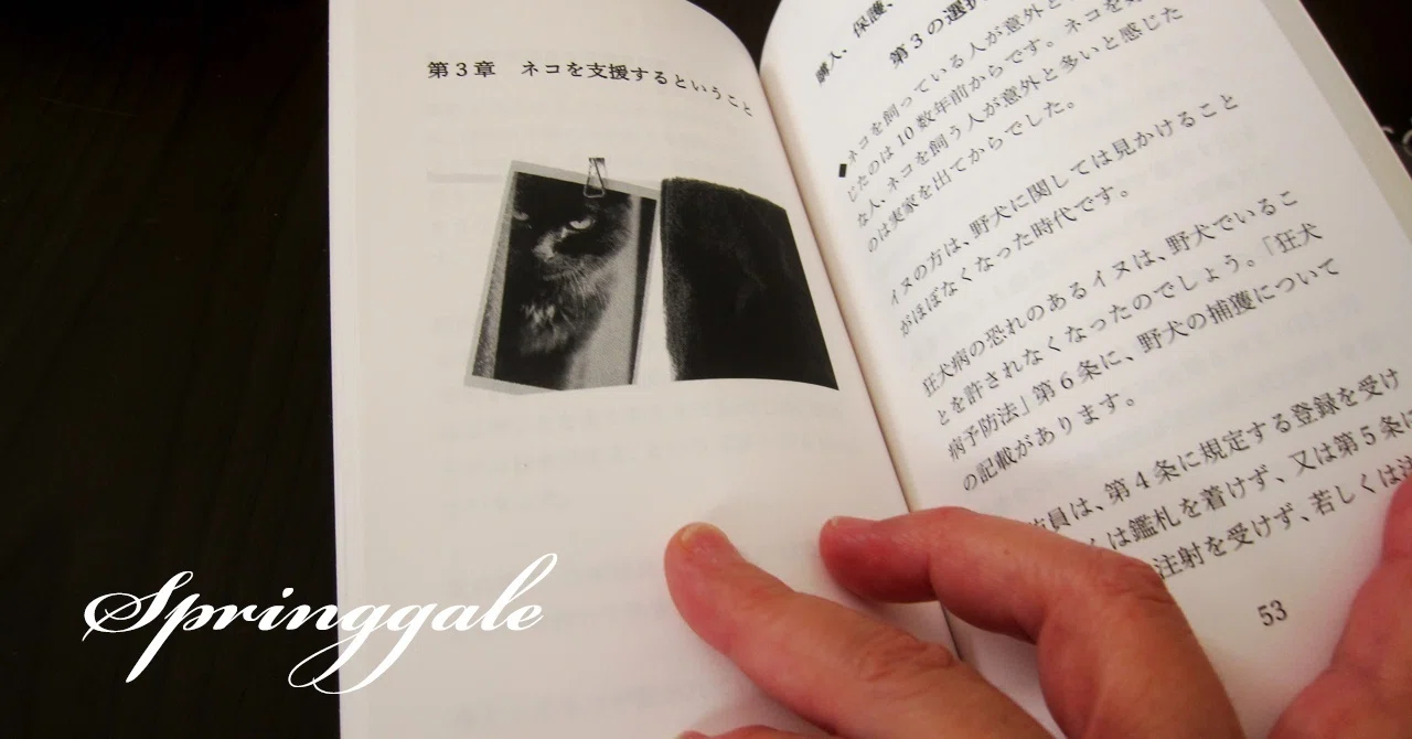 源氏物語研究集成 第3巻（ペーパーバック） ペーパーバック版3冊目作成｜はるかぜるりい