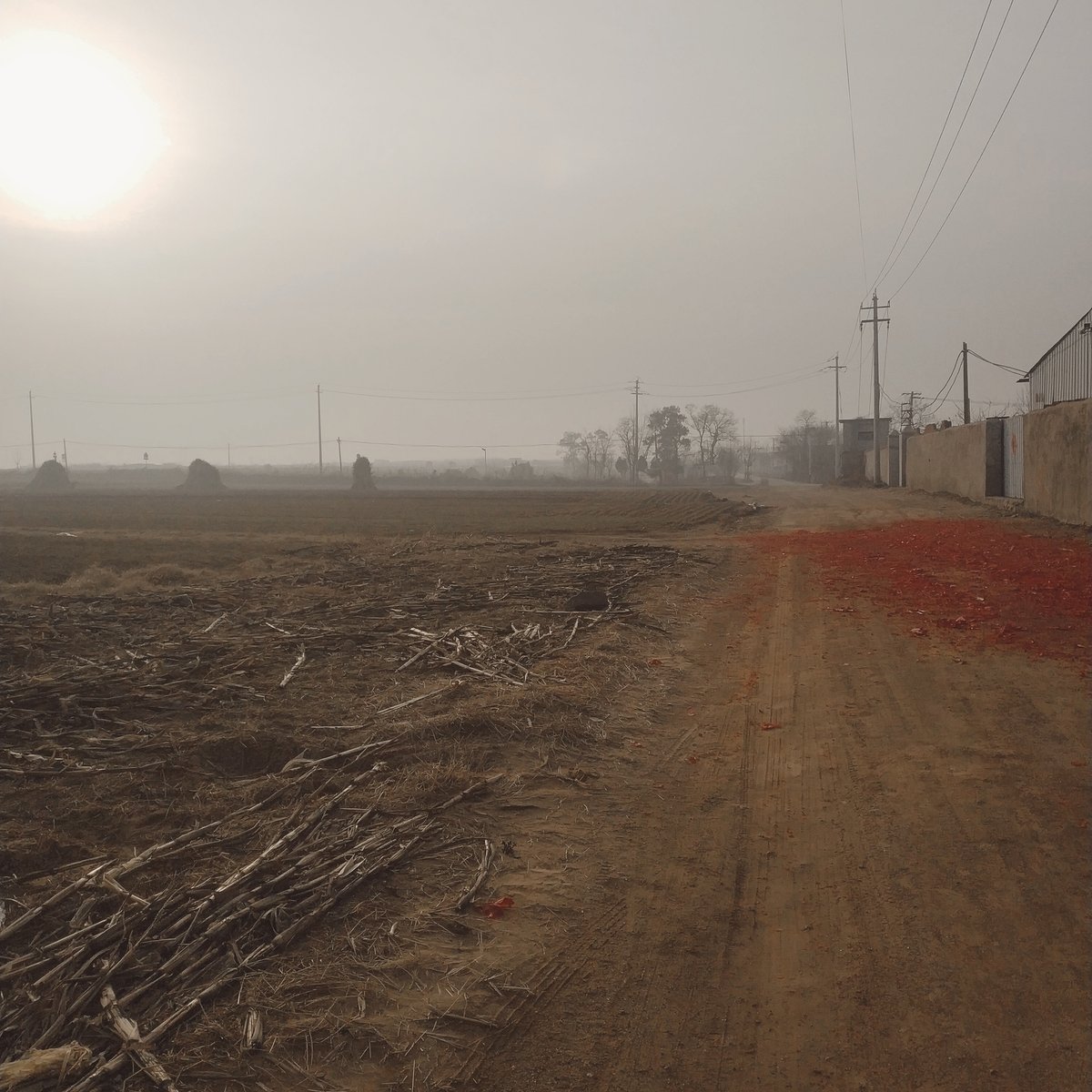 1.22】初一，坟墓，废屋｜蟻世