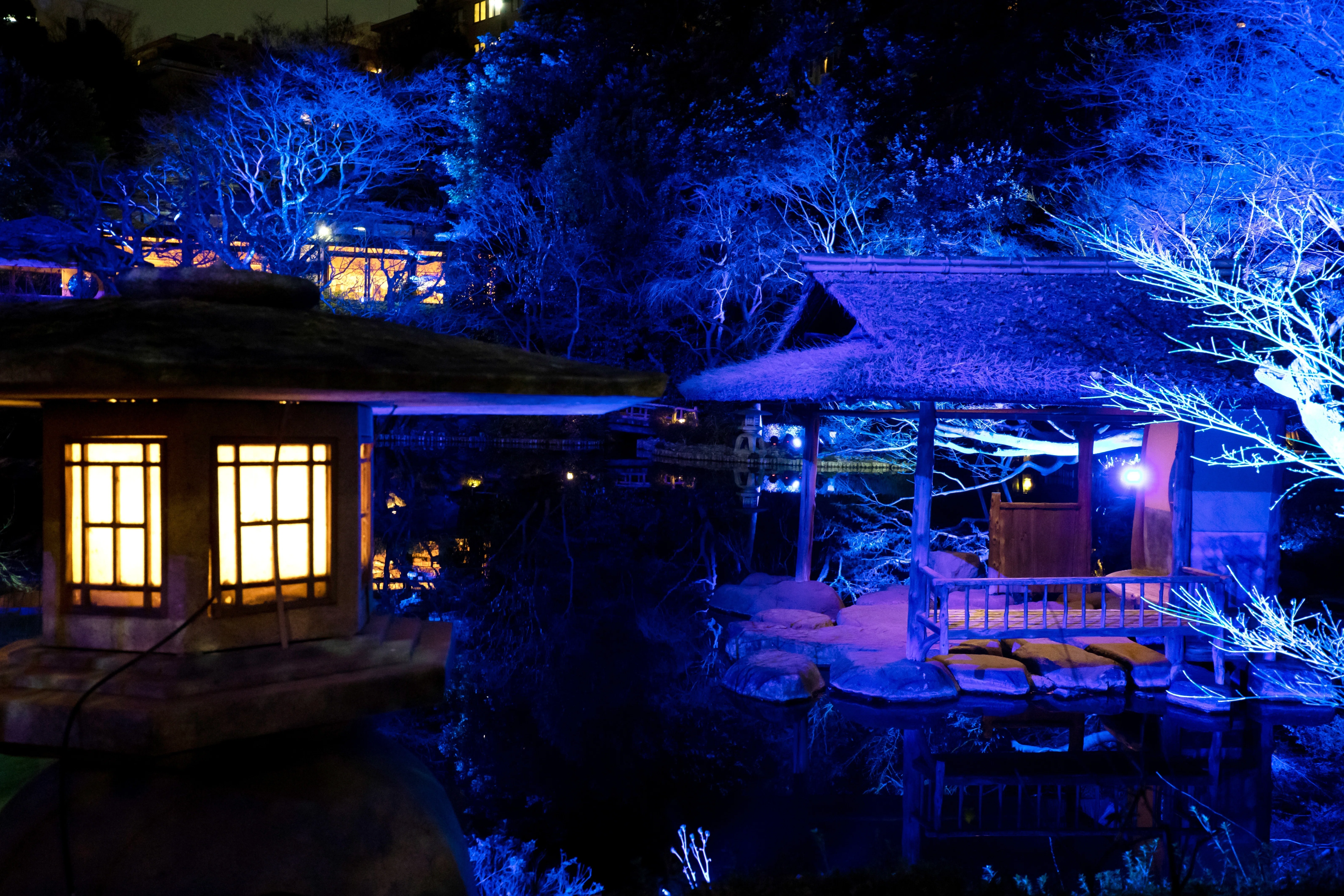 400年以上の歴史ある日本庭園が、青色に染まる冬。｜八芳園 note