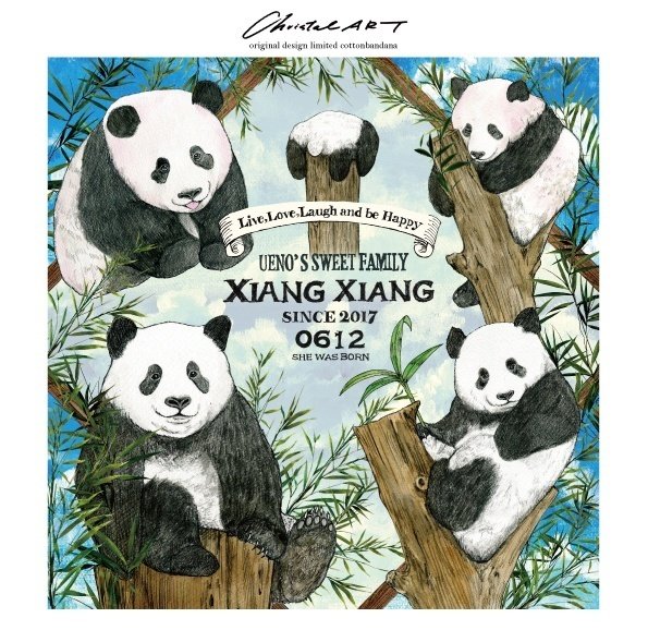 4/24更新】クリスタルアート「メモリーオブシャンシャン2023」「竹筒