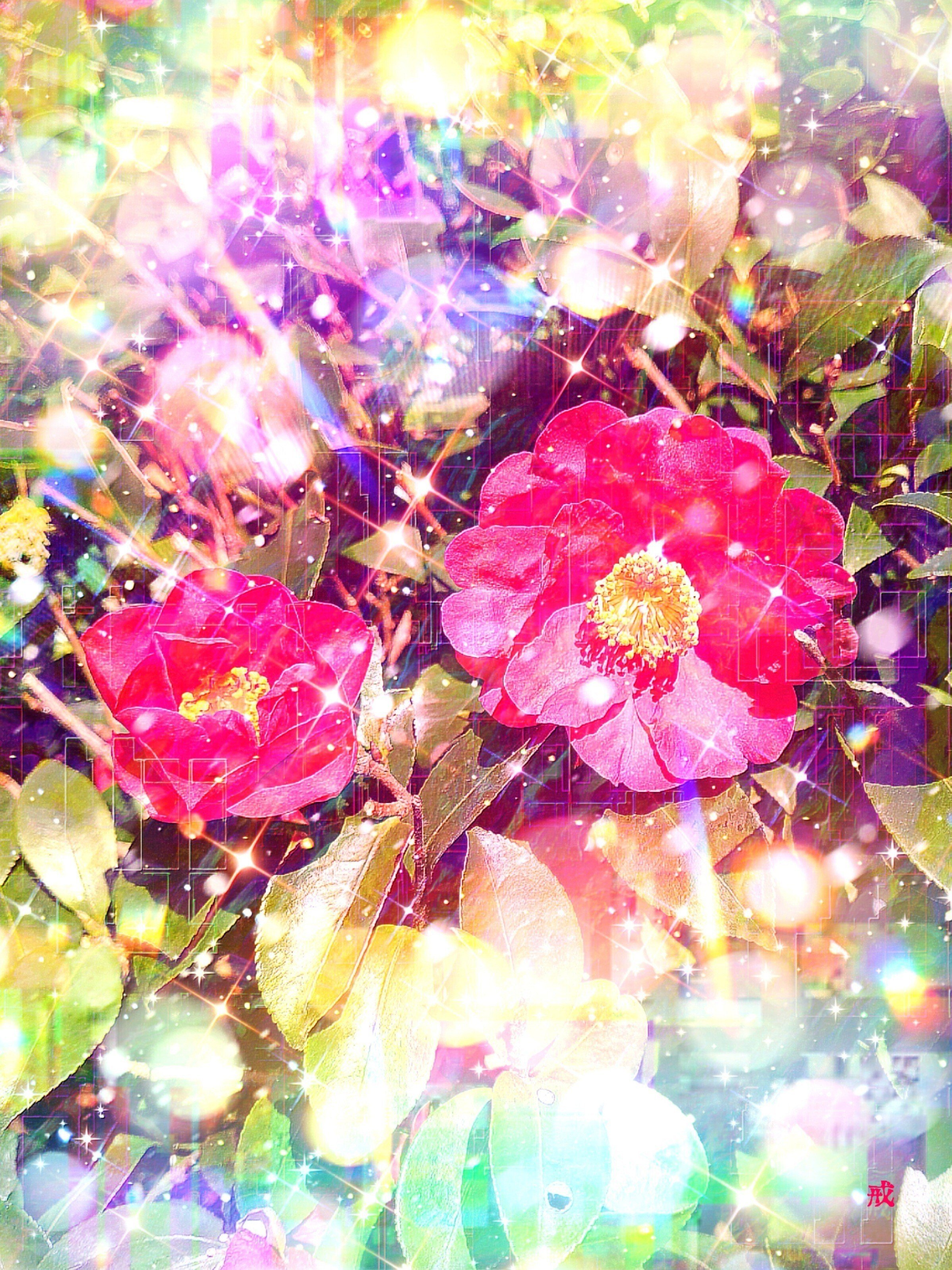 作品: a-1779 大寒ノ椿 Winter camellias｜T_GAI(戒)