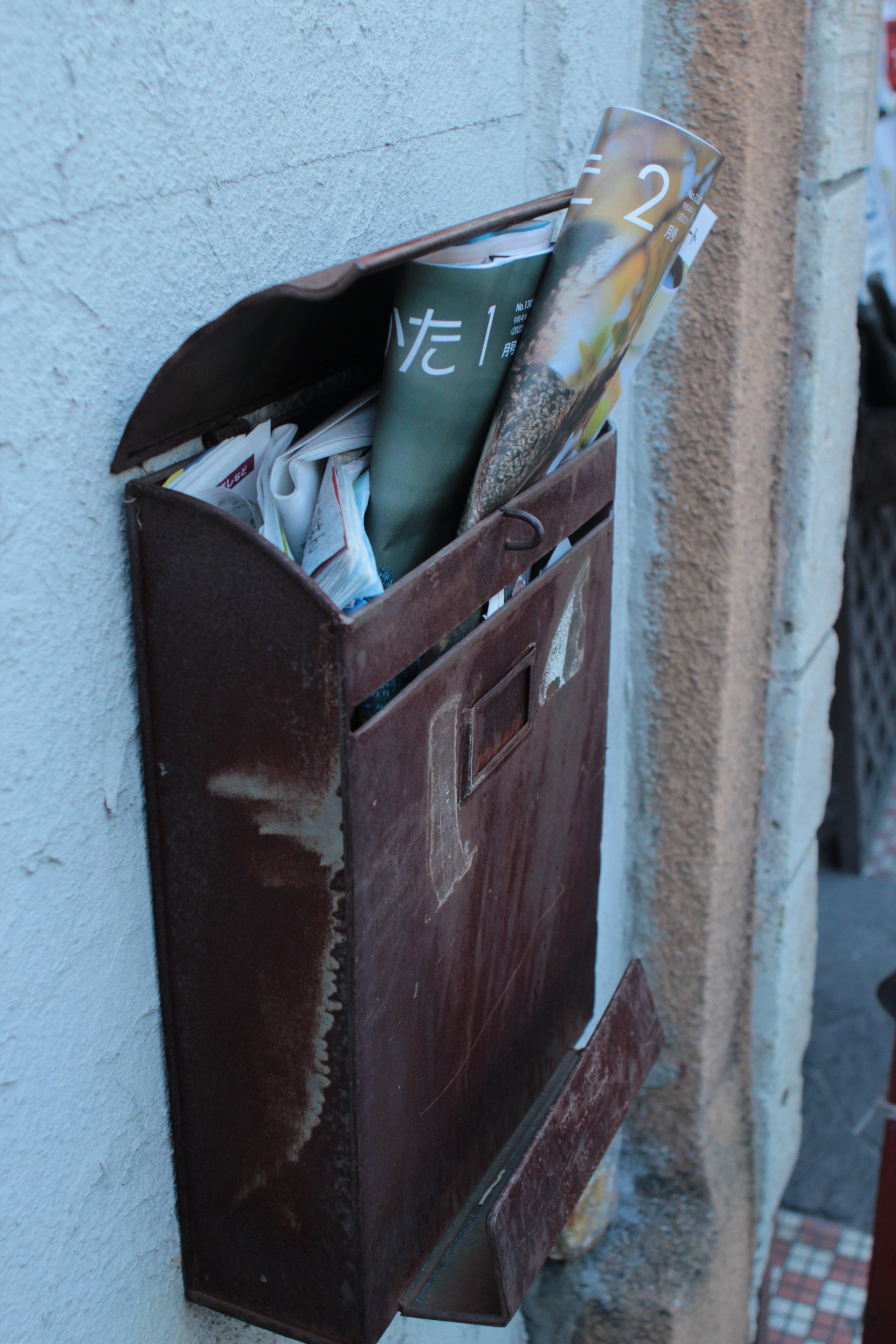 20230123 Canon EOS Kiss X5をちょっと見直している|Ryuma 20230123 Canon EOS Kiss X5をちょっと見直している|Ryuma