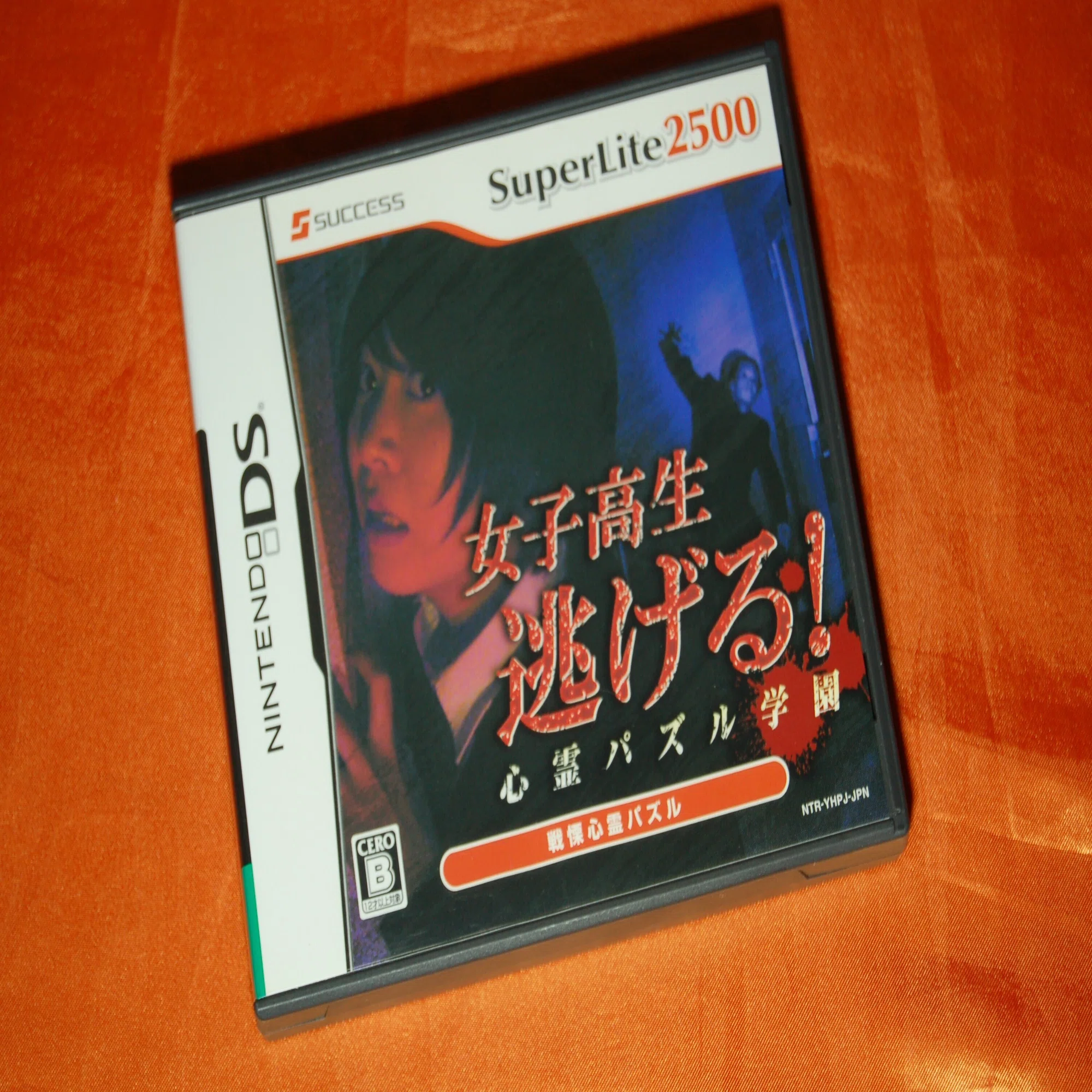 女子高生は完全に逃げ遅れていた｜ゲームコレクター・酒缶