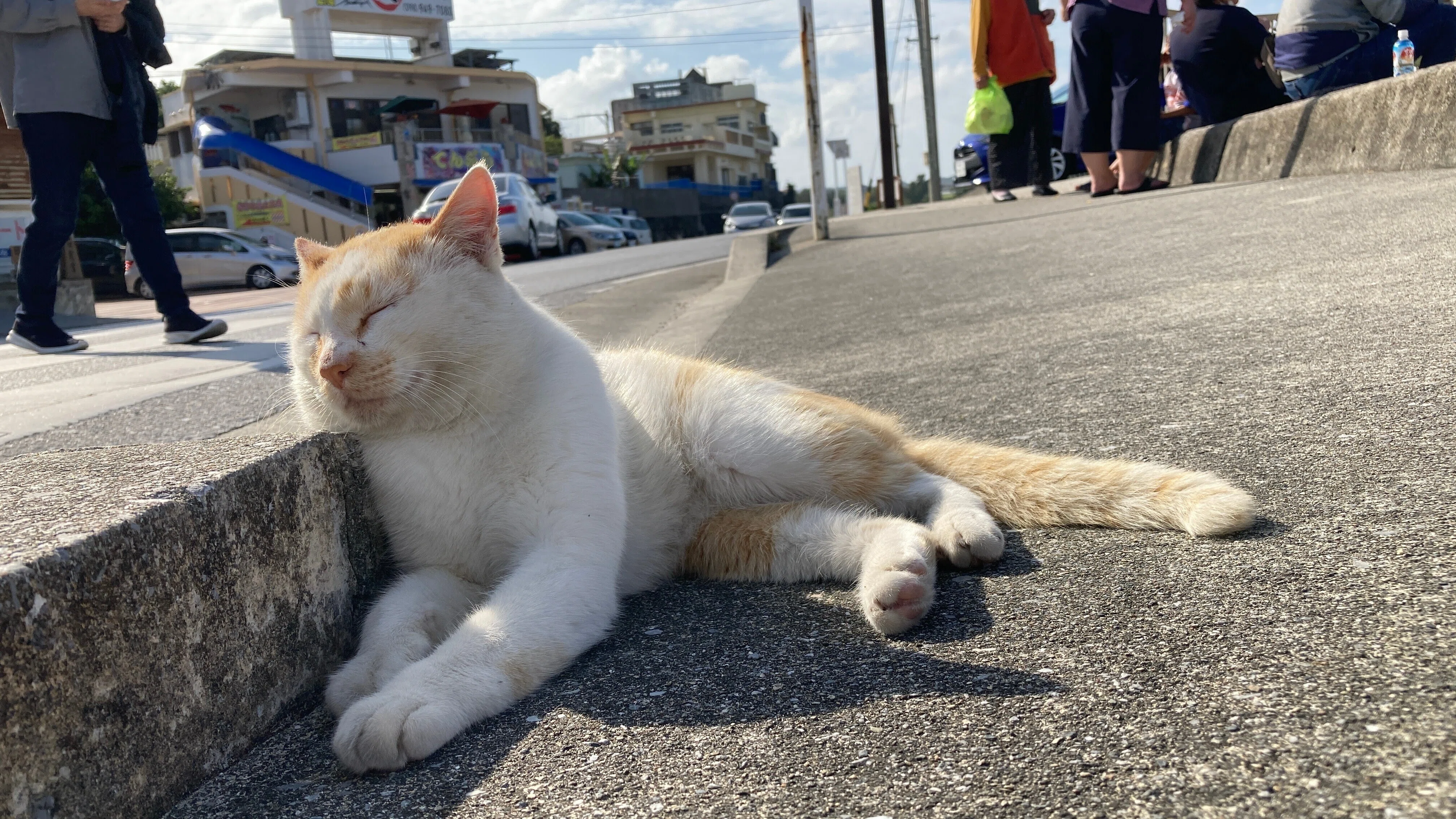 猫と島の風景写真を多めでお届けする奥武島①｜今日は何もしたくない
