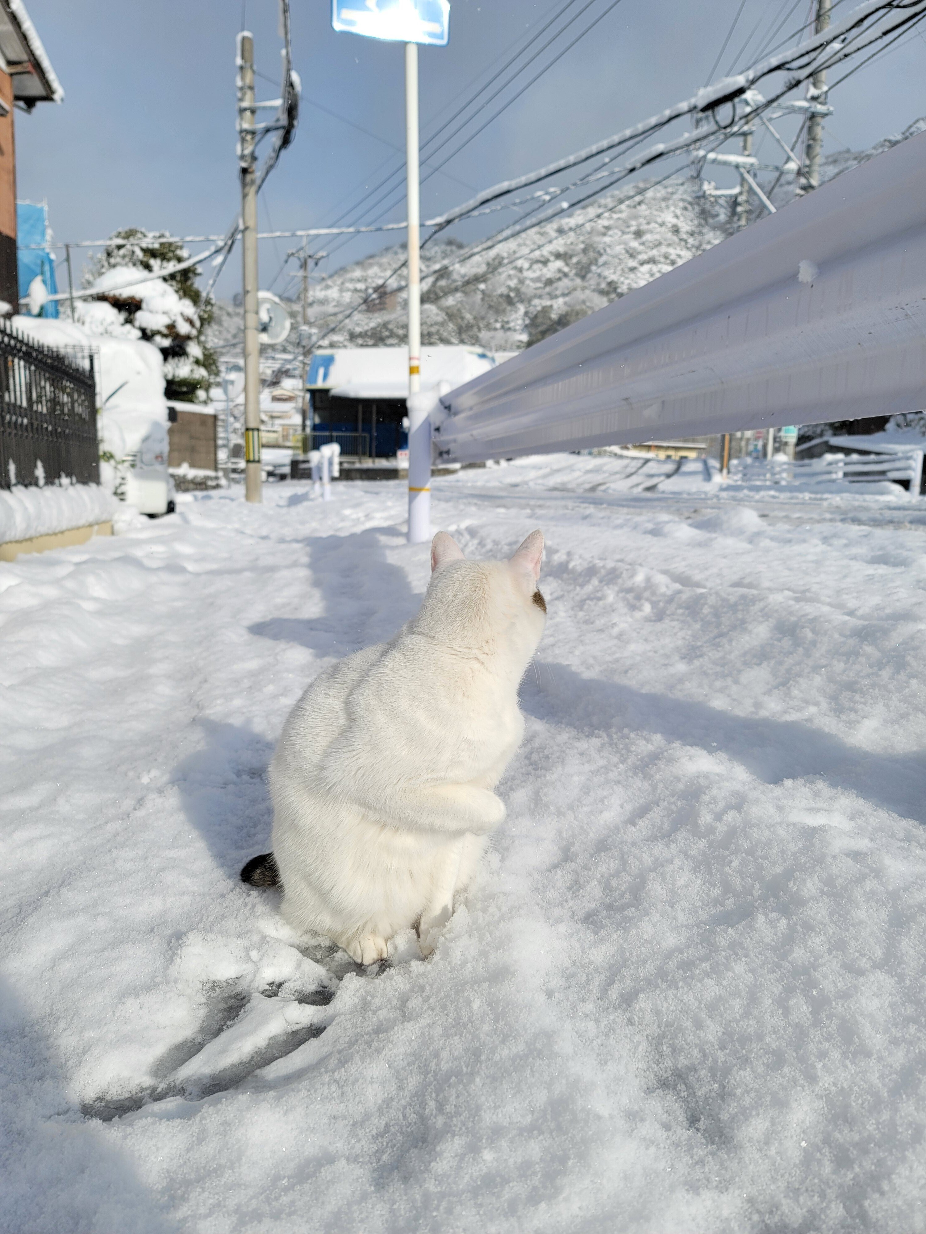 山口県周南市に10年ぶりの大雪⛄｜SAKI