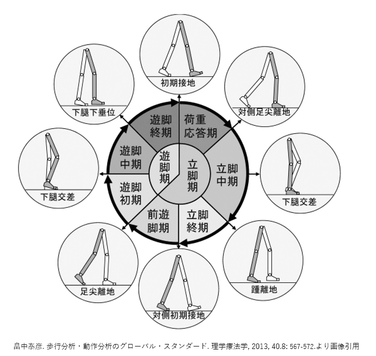 臨床における歩行分析～ 基本的な診方からその対策まで ～【全２巻】ME235-S Amazon.co.jp: 臨床における歩行分析～基本的な診方からその対策