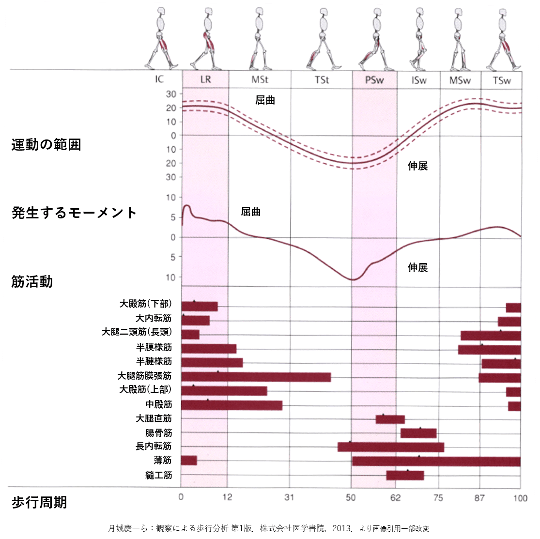 足の機能解剖と歩行分析 ～下肢からみた動きと理学療法の展開～