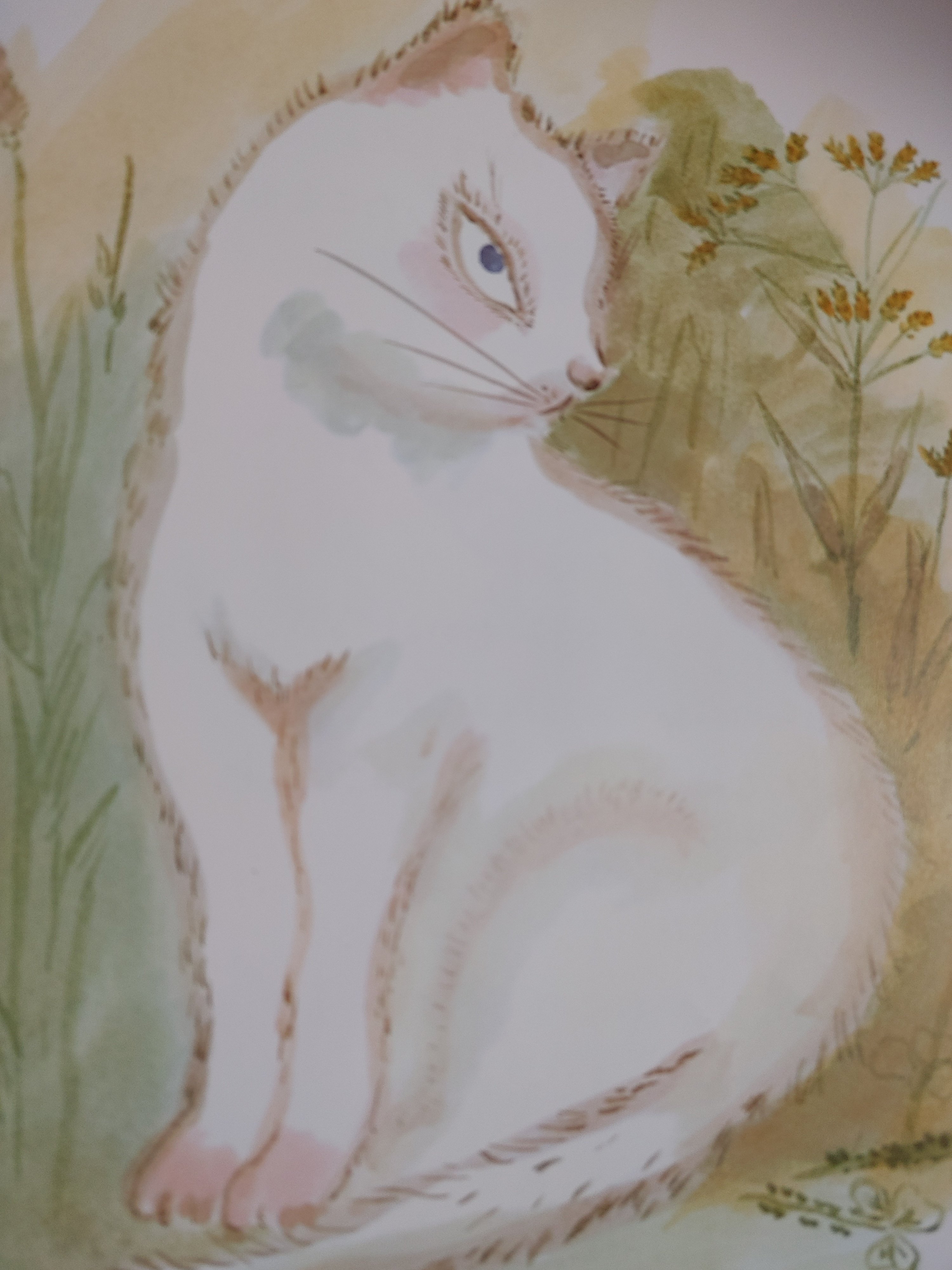 絵本まとめ　100万回生きたねこ どうぞのいす　わすれられないおくりもの 絵本まとめ 100万回生きたねこ どうぞのいす わすれられない