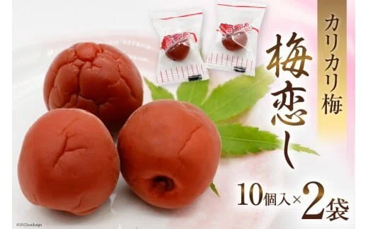 こいちゃん様専用 おまとめ三州生姜 こする