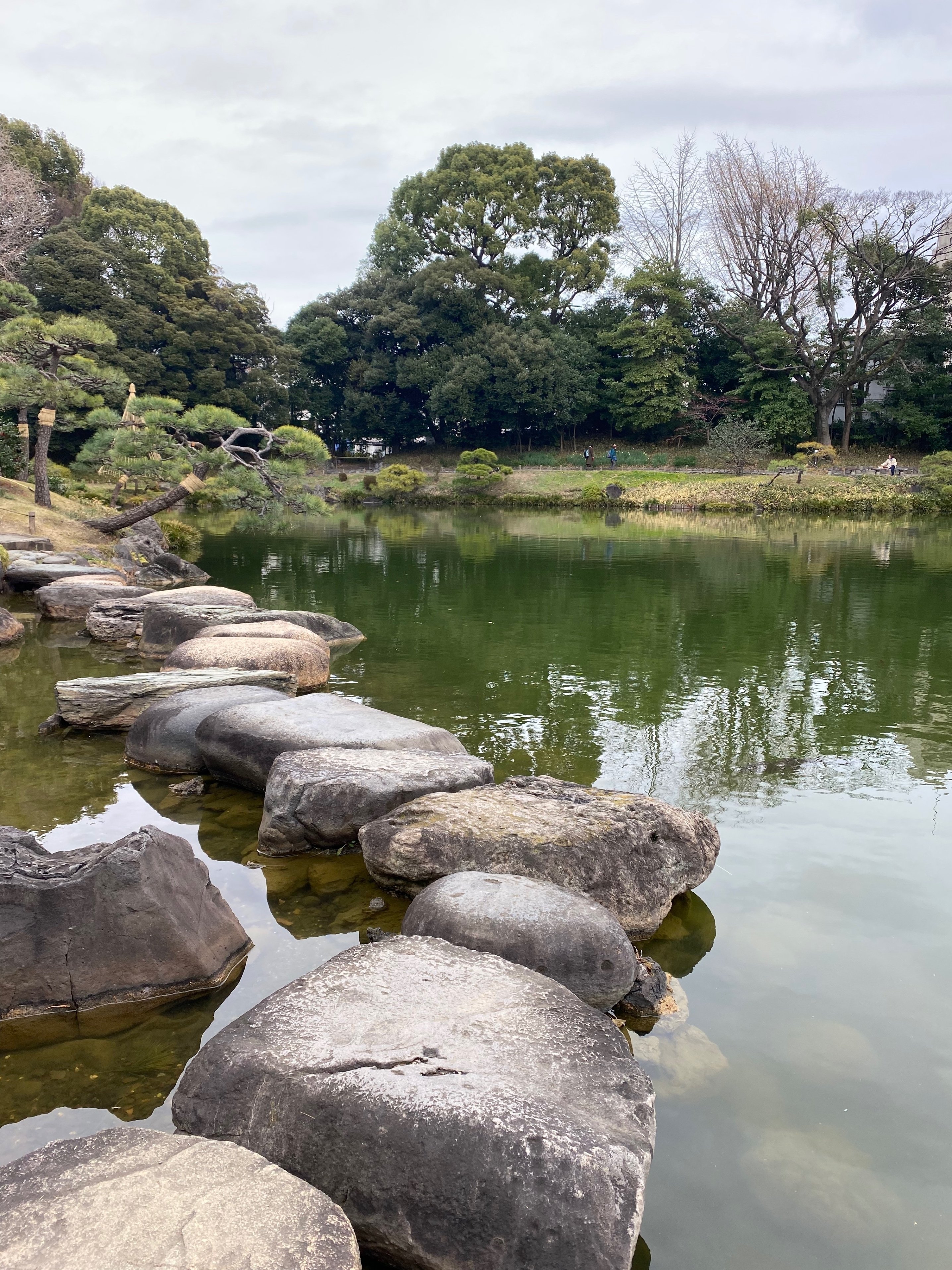 江東区】清澄庭園は半分になっていた。|nama 江東区】清澄庭園は半分になっていた。|nama