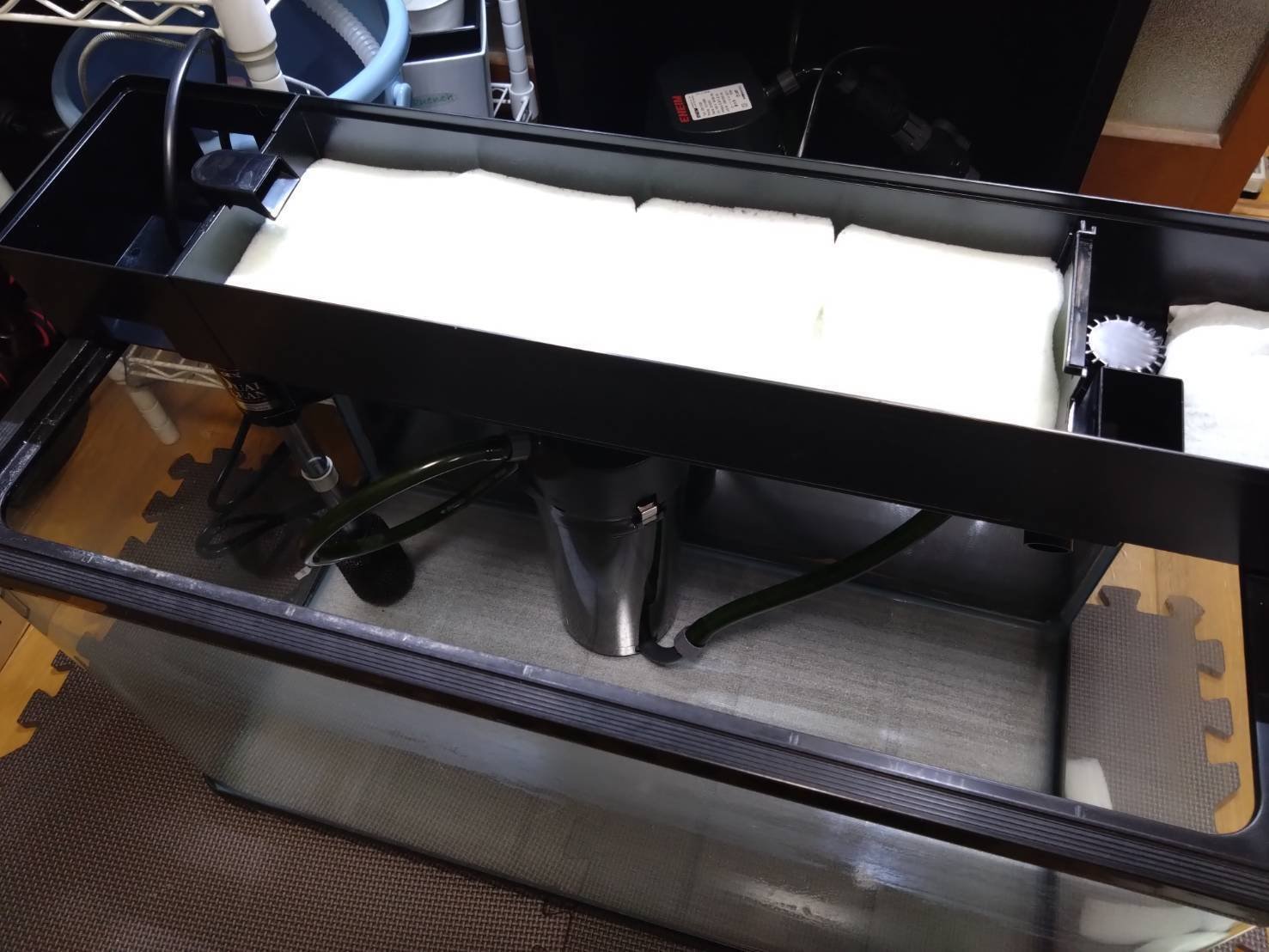 すぐ始められる！上部濾過アクアポニックス水槽セット 今注目の