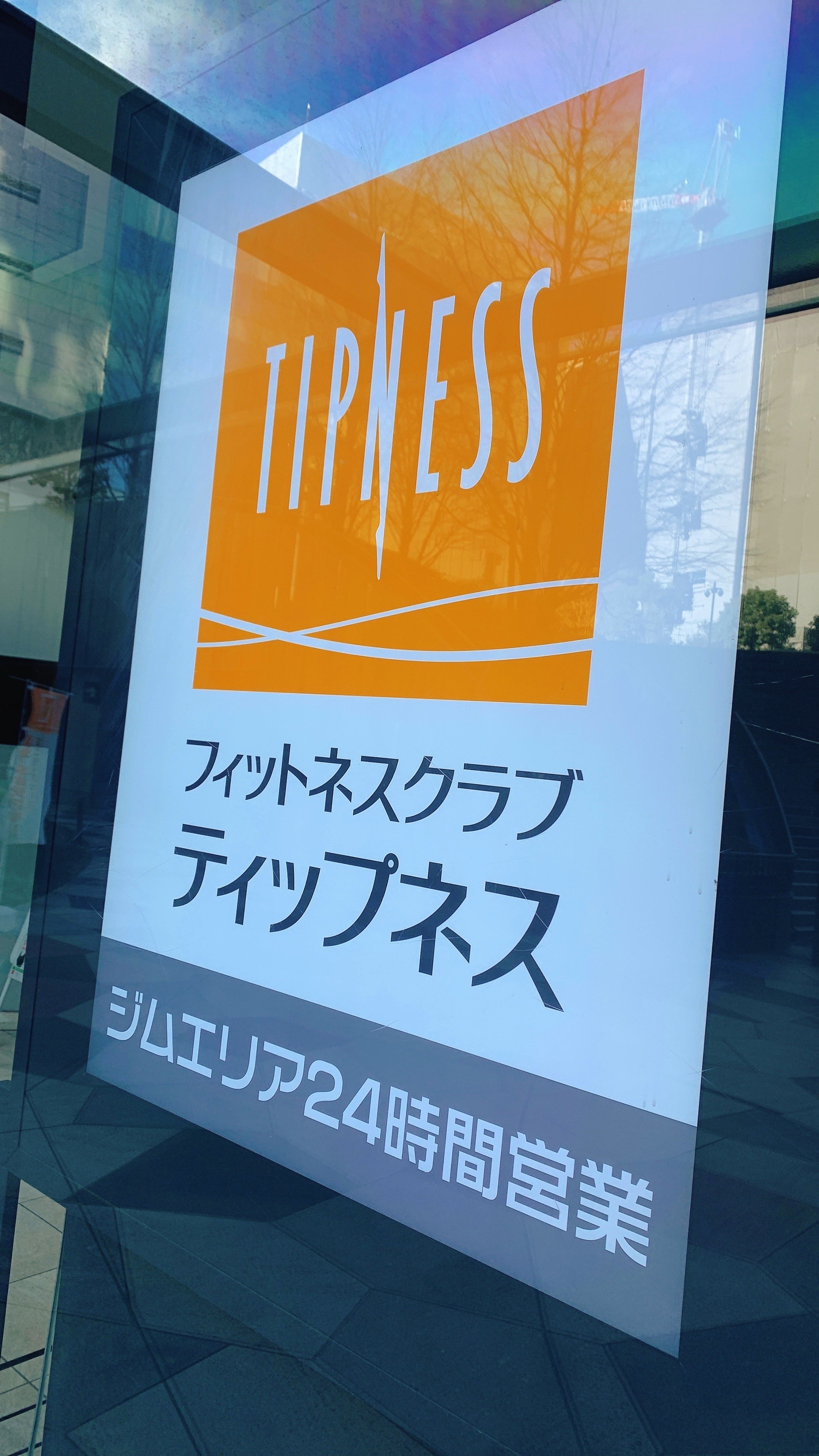 水樹奈々 ライブパンフレットセット リリカルなのは ビューティフル