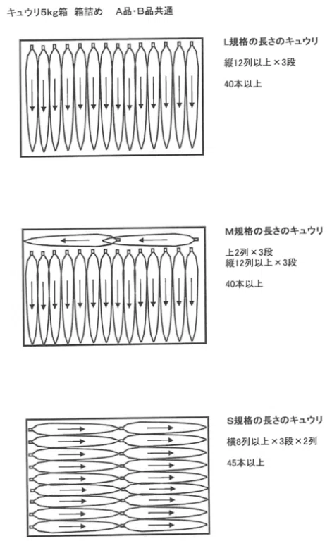 きゅうり界のエリート競争と作物の多様性｜Ayako