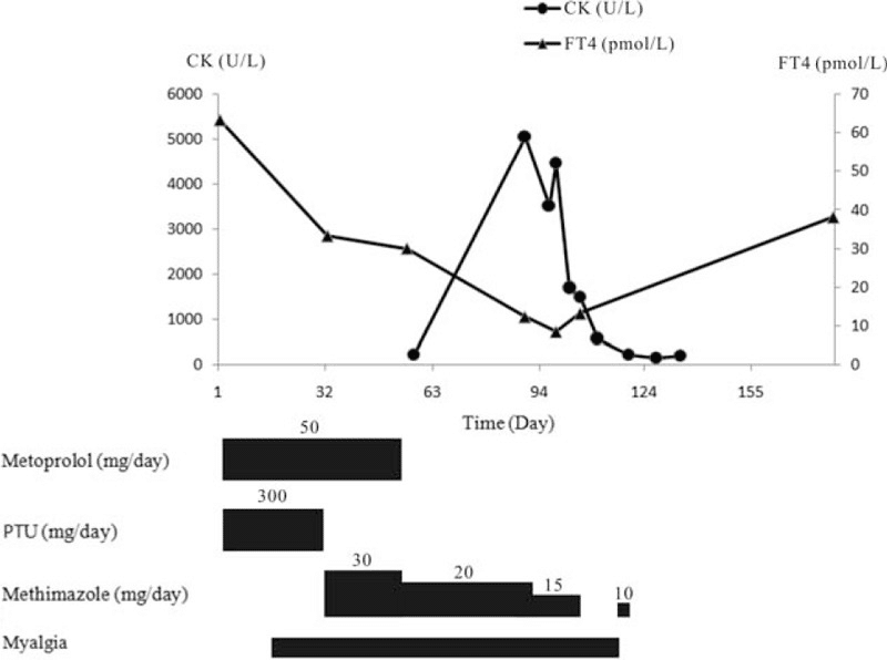 なぜ甲状腺機能亢進症がミオパチーを引き起こすのでしょうか?