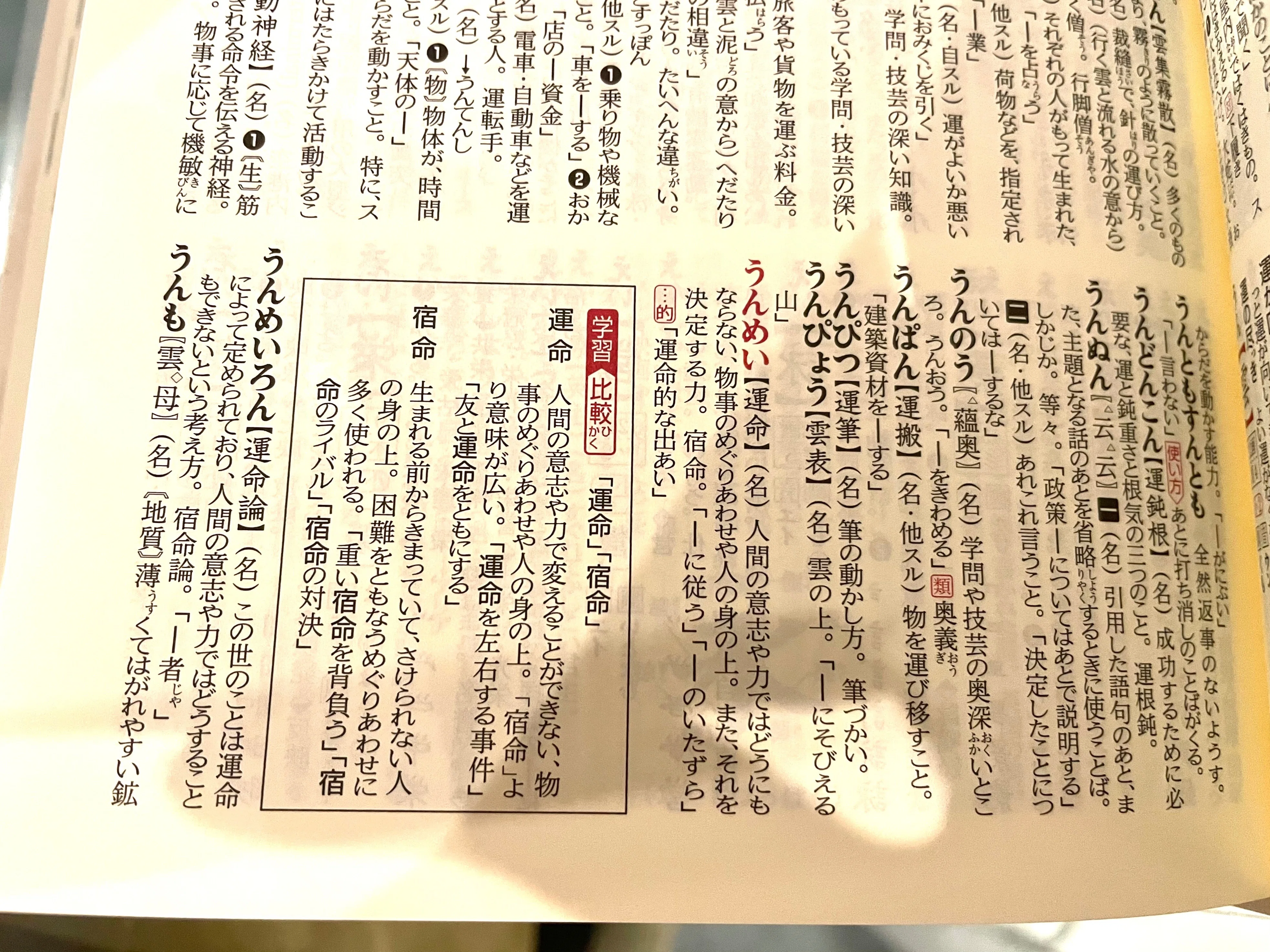 幸せな仕事をしたので見てくれ3（国語辞典編）｜末次由紀