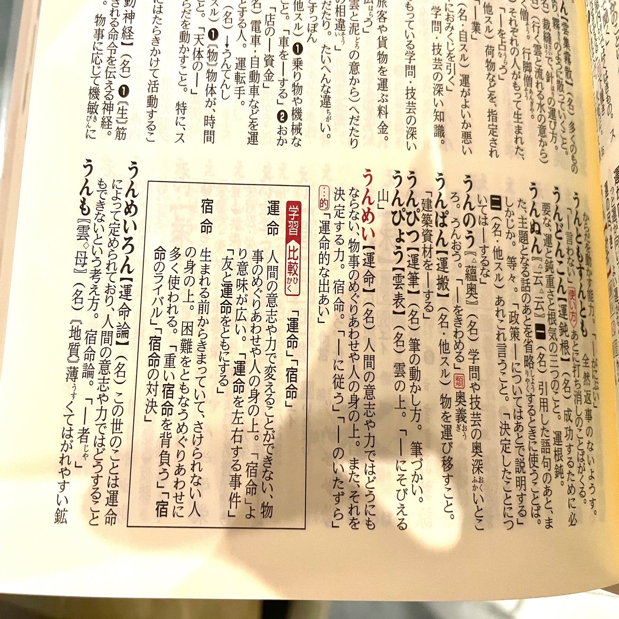 幸せな仕事をしたので見てくれ3（国語辞典編）｜末次由紀