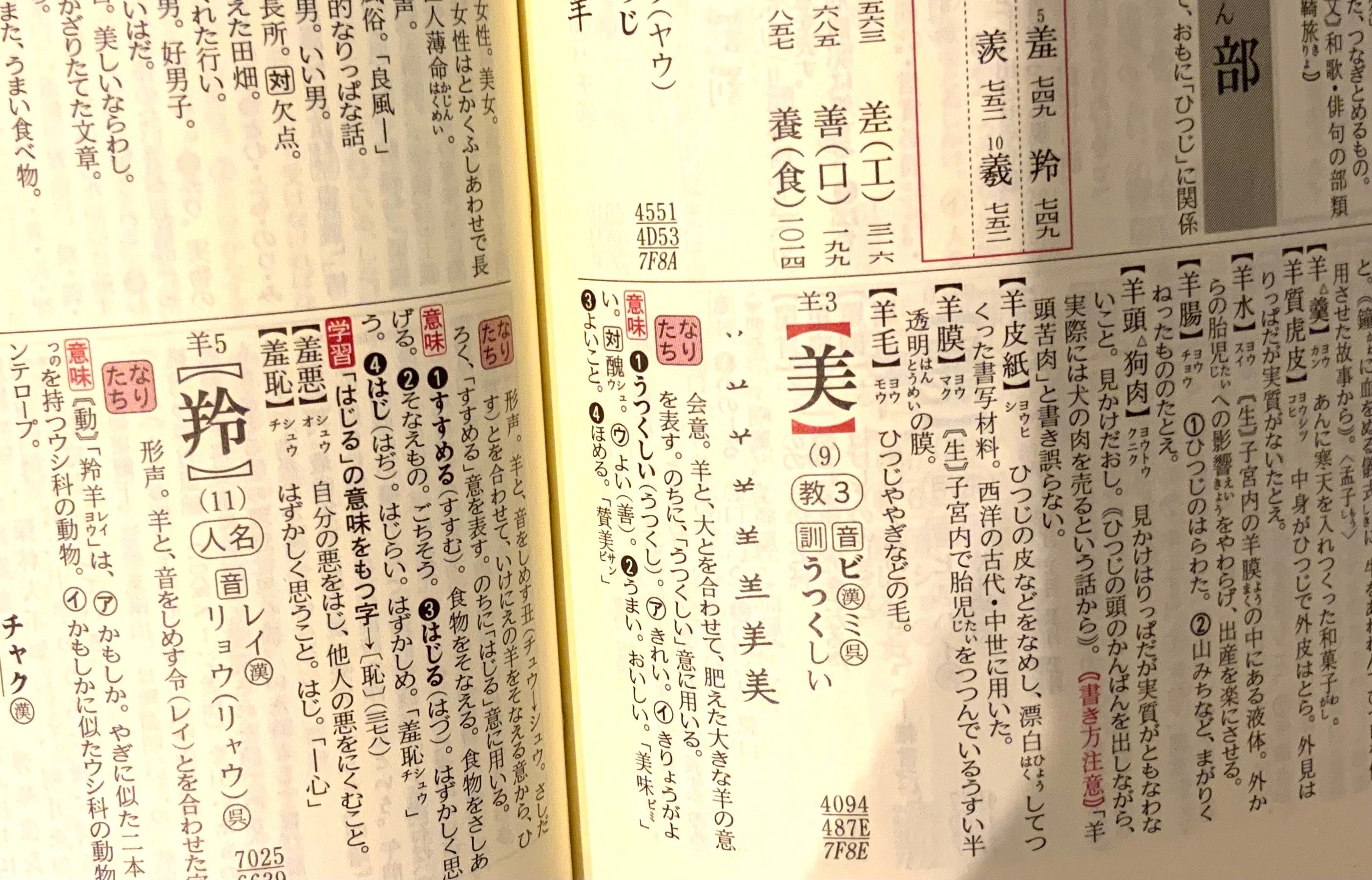 幸せな仕事をしたので見てくれ3（国語辞典編）｜末次由紀