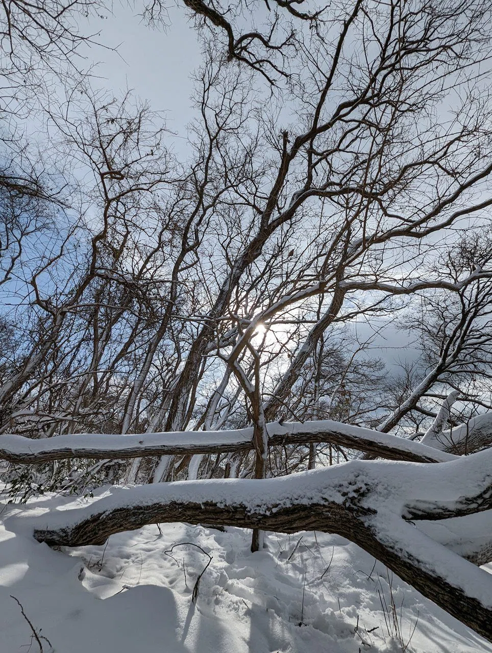 I finally captured my long-held dream of photographing Lake Biwa's ...