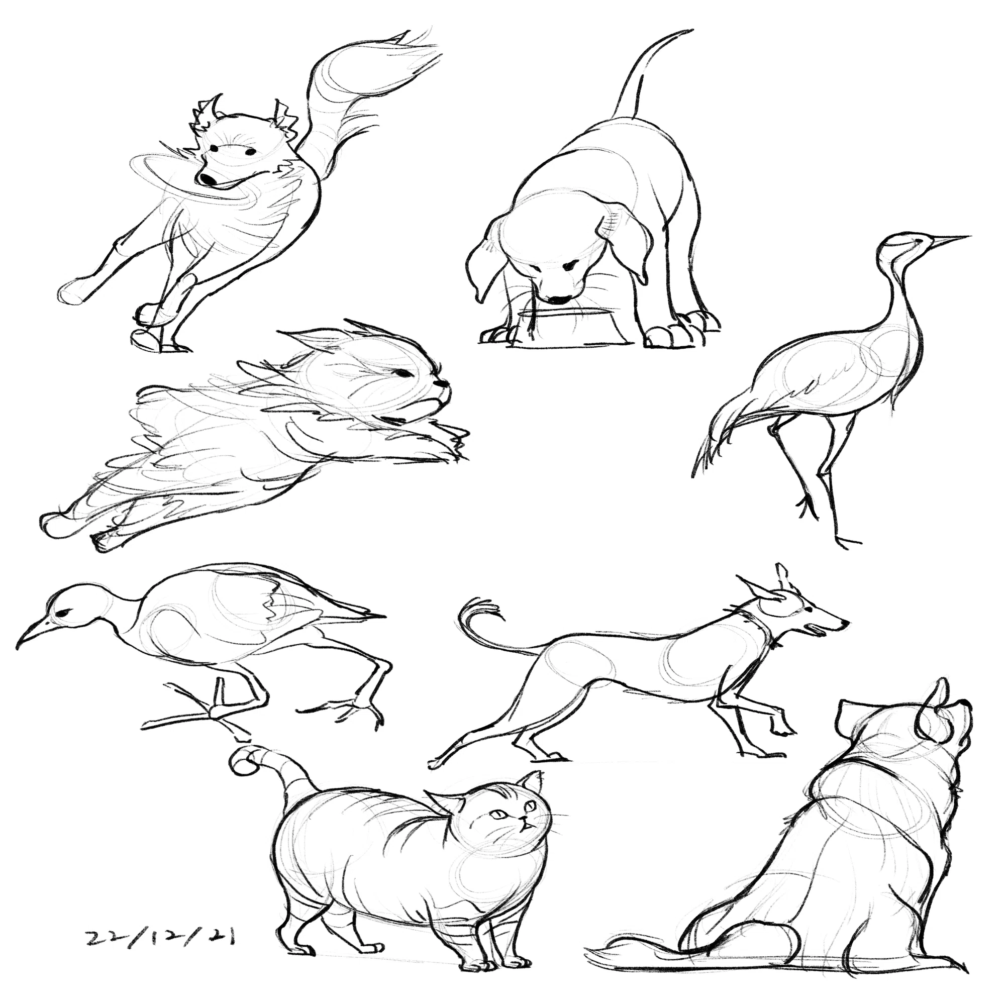 ジェスチャードローイングのすすめ vol.3「動物を描こう！」｜ふるり