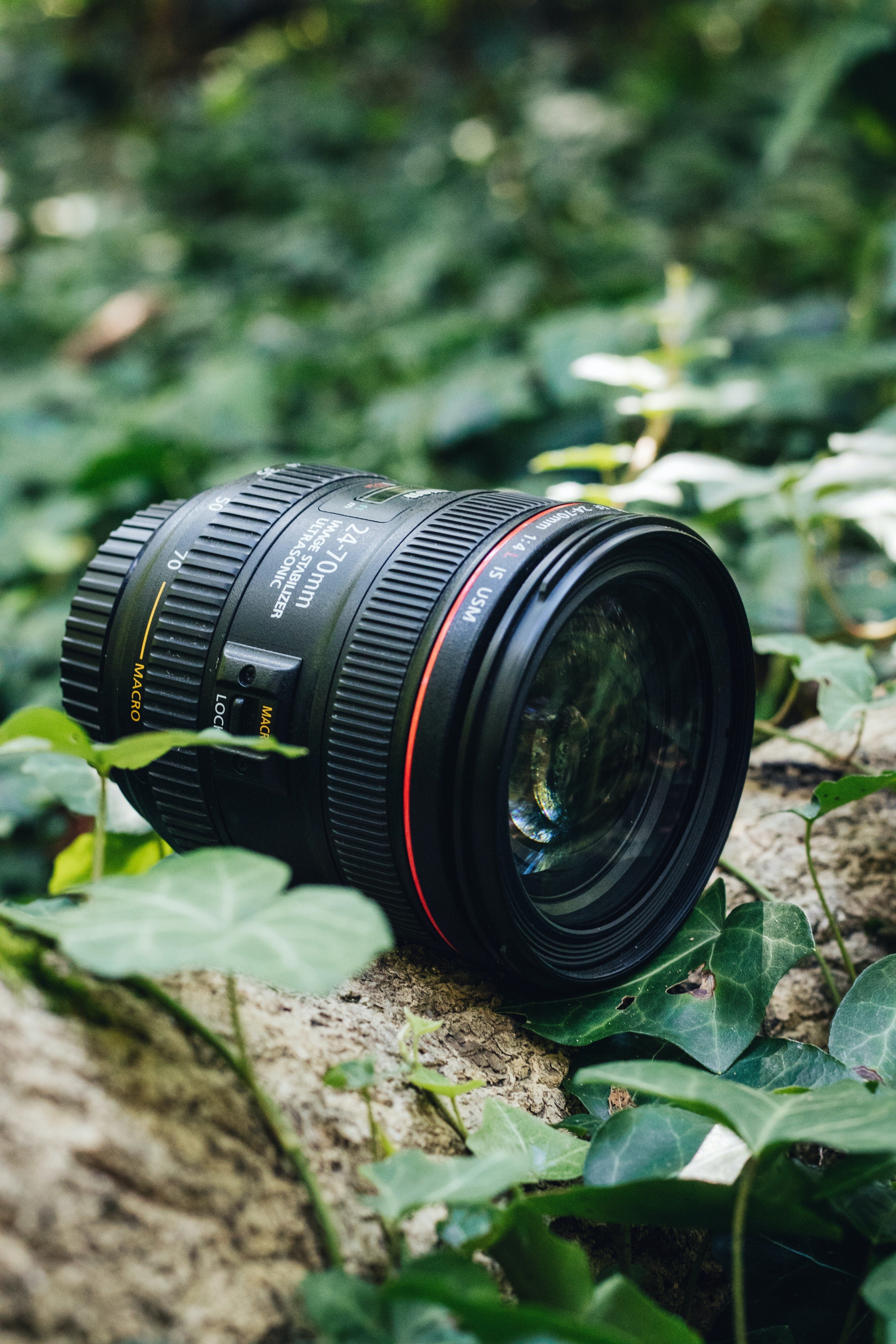 Canonカメラレンズ　2種類（単焦点とズーム） 単焦点レンズとズームレンズの違い | 姫野ばら園八ヶ岳農場
