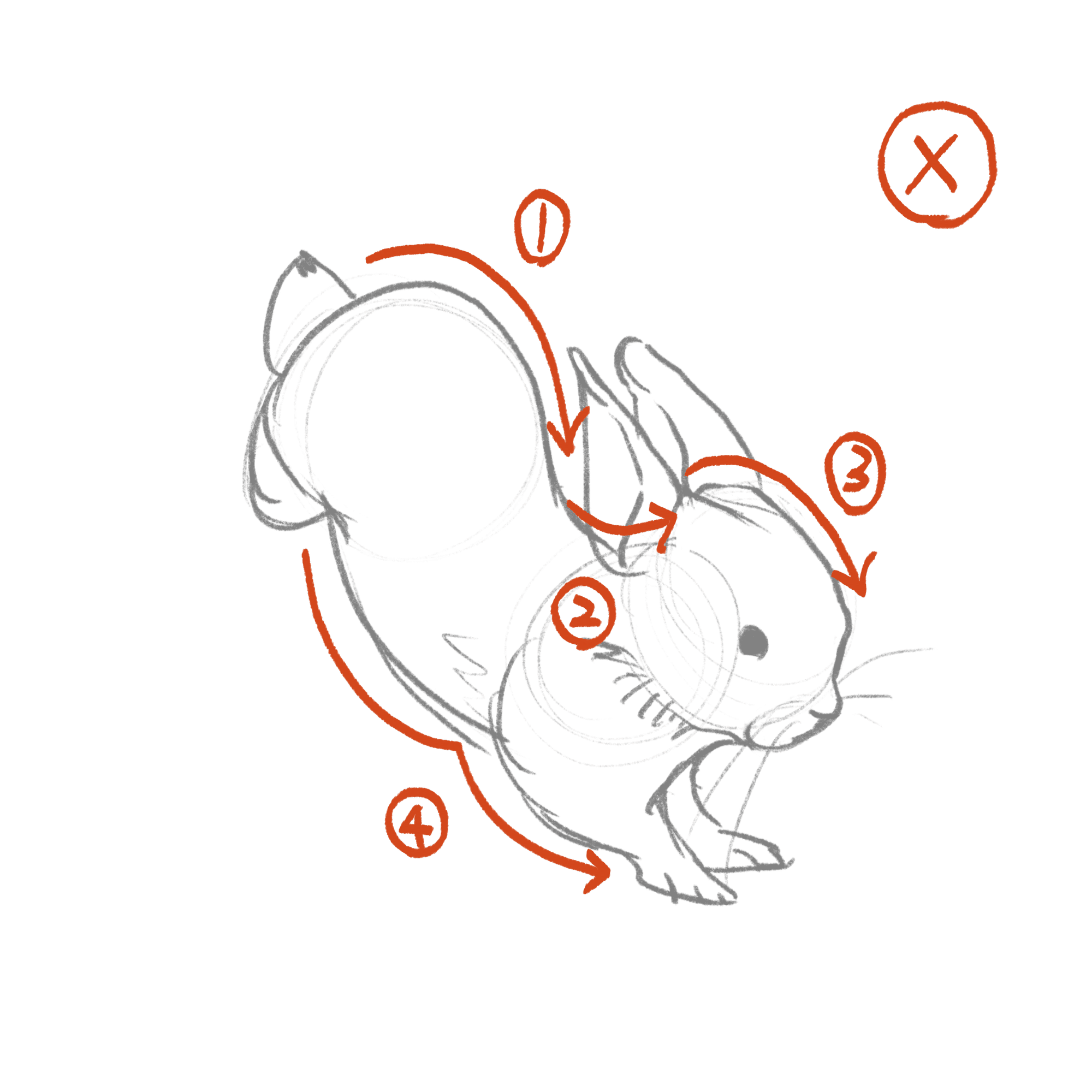 ジェスチャードローイングのすすめ vol.3「動物を描こう！」｜ふるり