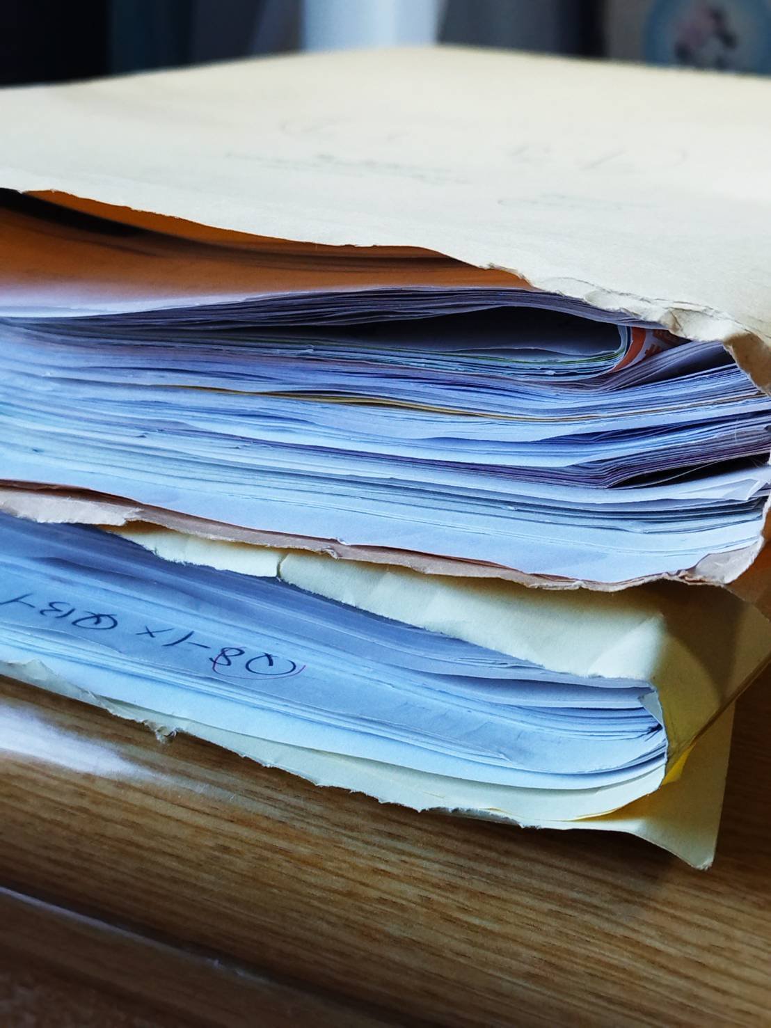 令和4年度特定行政書士考査、受験してきました。｜西垣裕里（ゆりりん