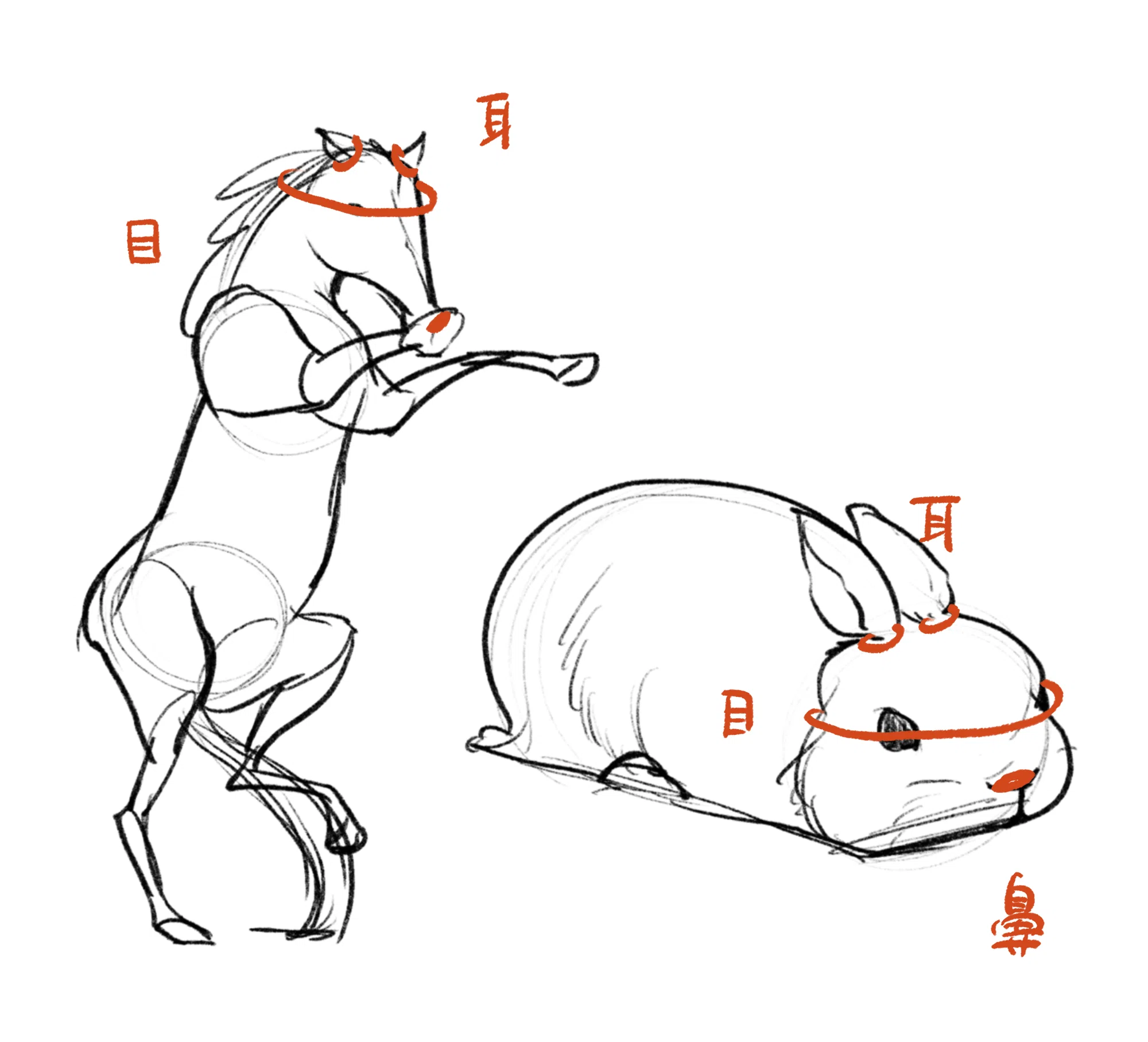 ジェスチャードローイングのすすめ vol.3「動物を描こう!」|ふるり ジェスチャードローイングのすすめ vol.3「動物を描こう!」|ふるり