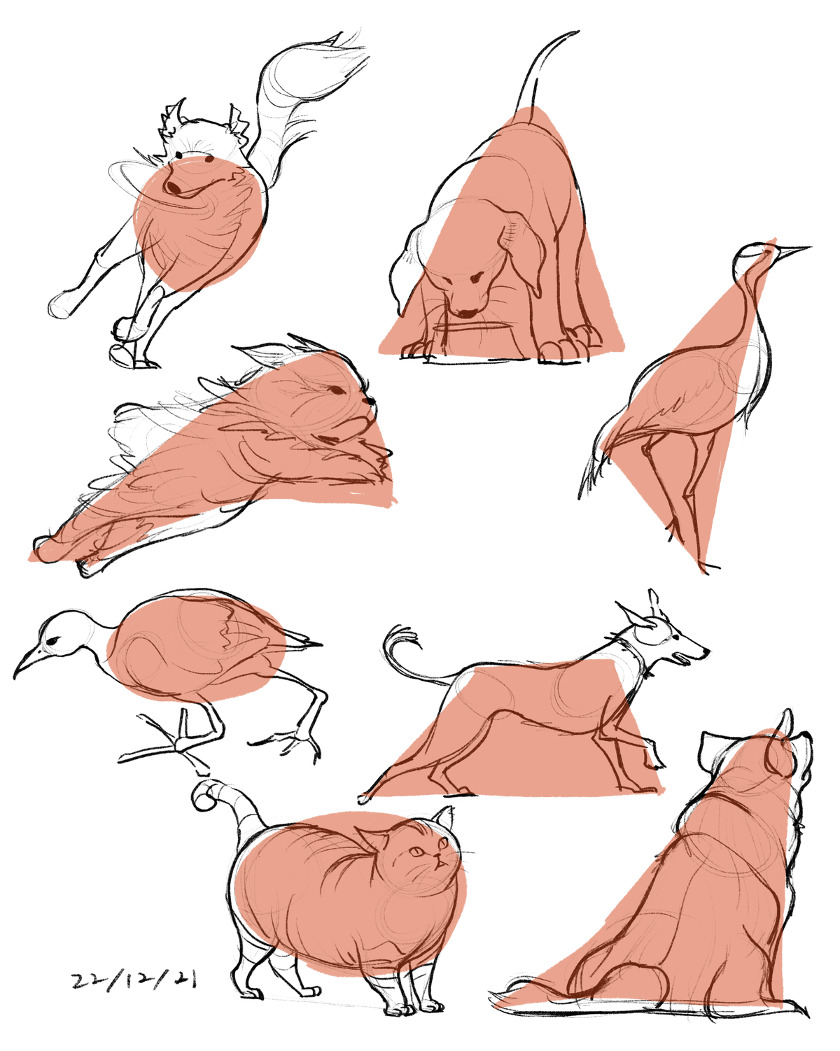 動物を描く 【公式通販】