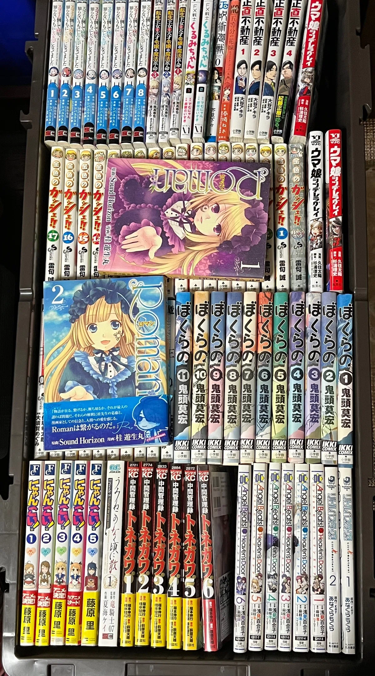 いらない漫画をまとめてみたはなし｜watariko