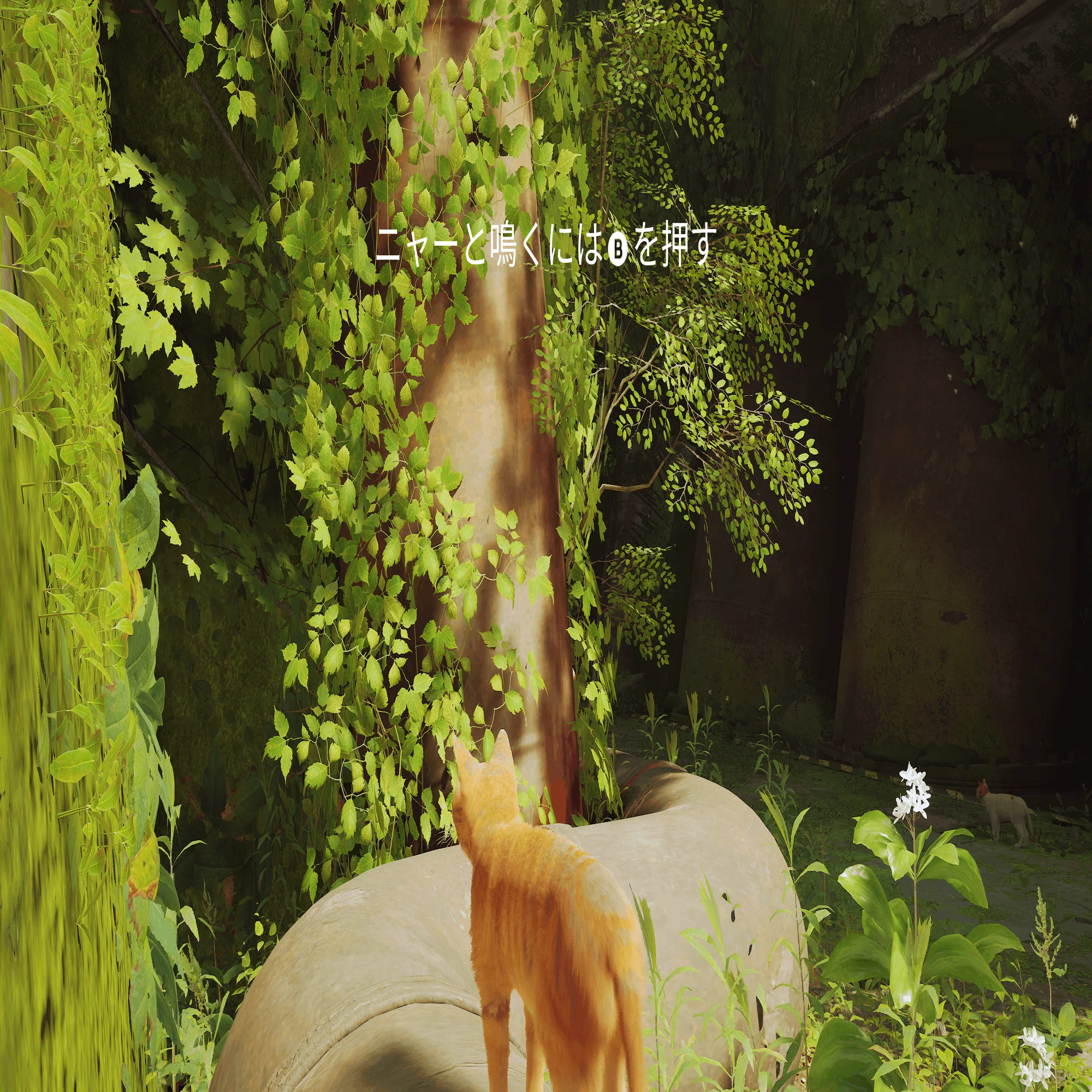 ゲームならではの物語表現を示した『Stray』｜すずきたけし