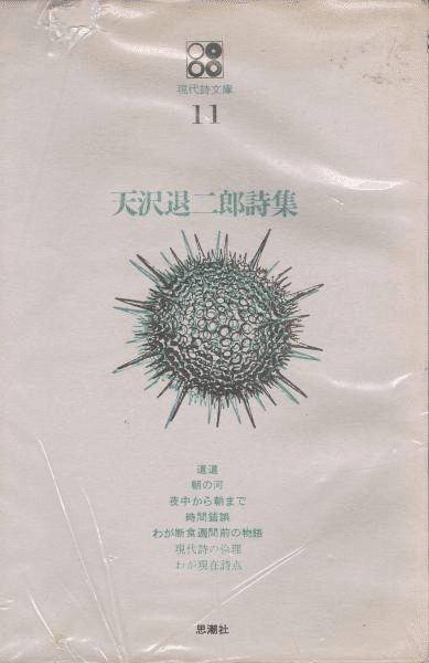 バタイユ『空の青』、『天沢退二郎批評論集：紙の鏡』｜俗語半解