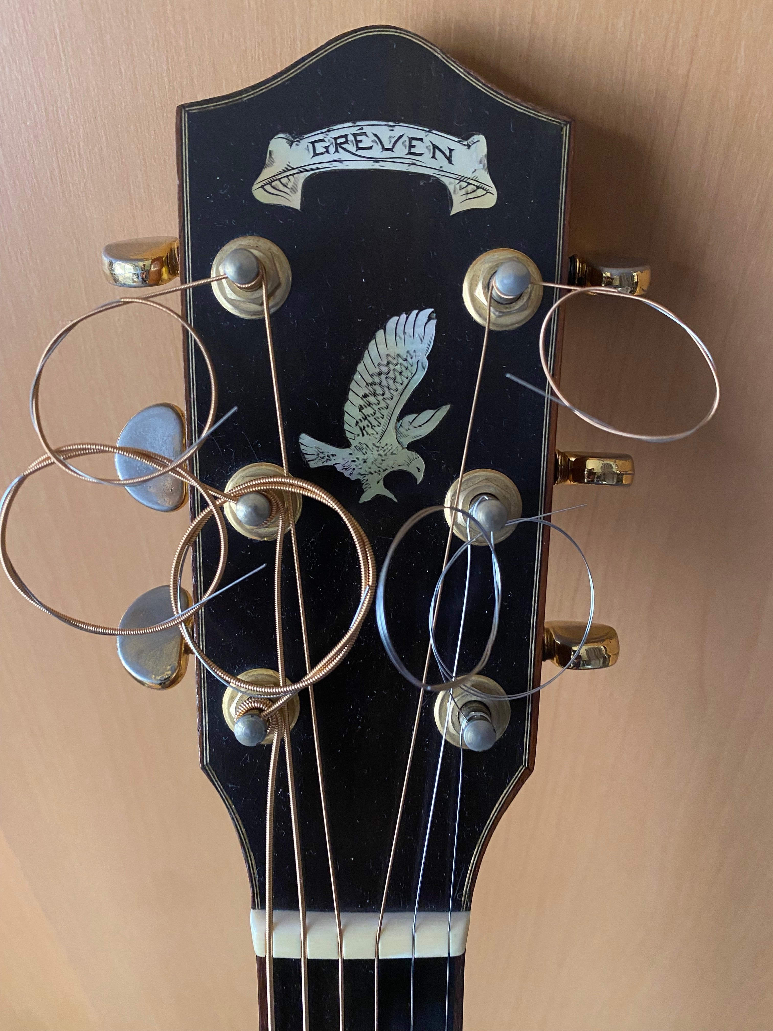 弾いていただきたいギター その② GREVEN D- Herringbone Deluxe
